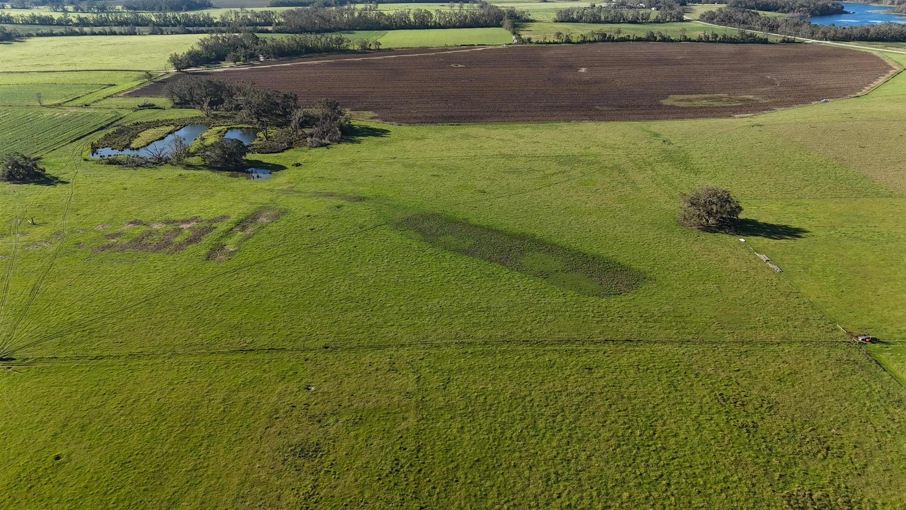 6800 NE Rocky Ford Rd, Madison, Florida image 4