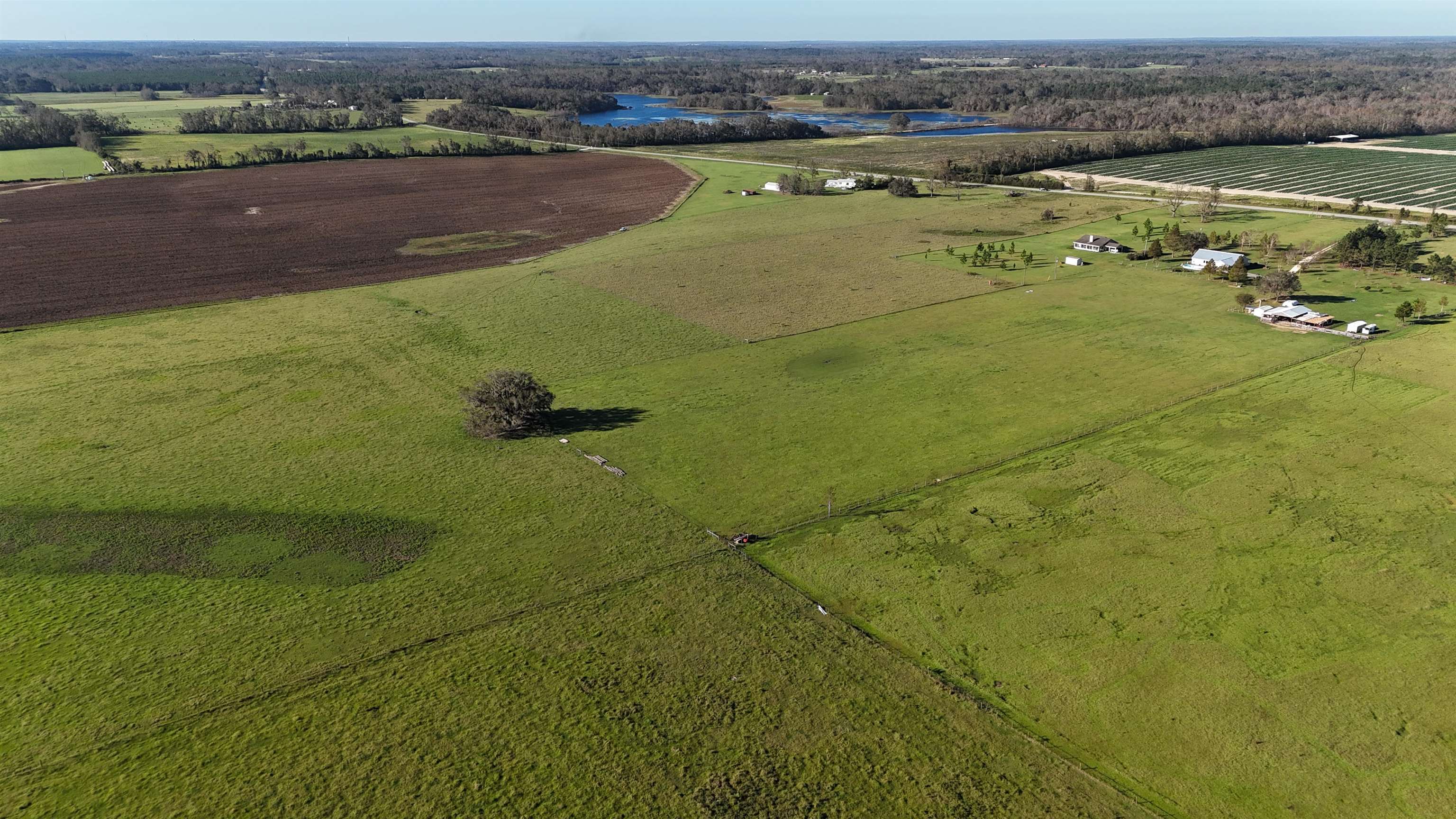 6800 NE Rocky Ford Rd, Madison, Florida image 7