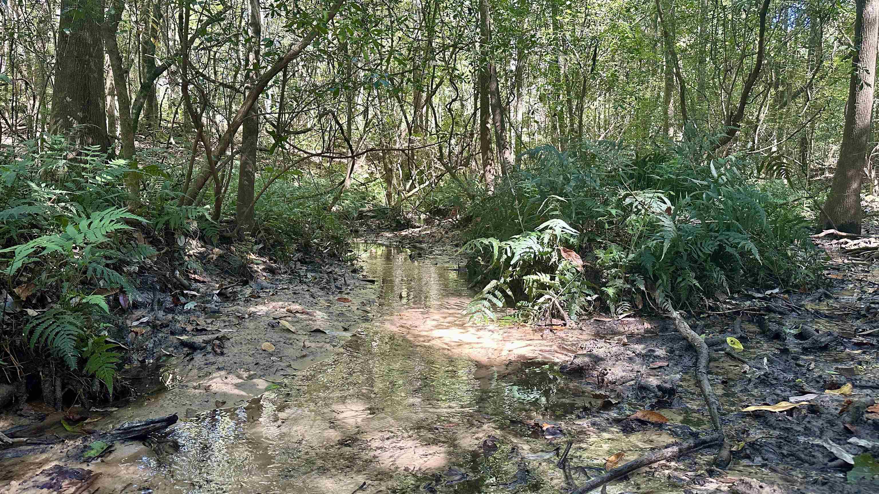 Hogan Lane, Quincy, Florida image 16