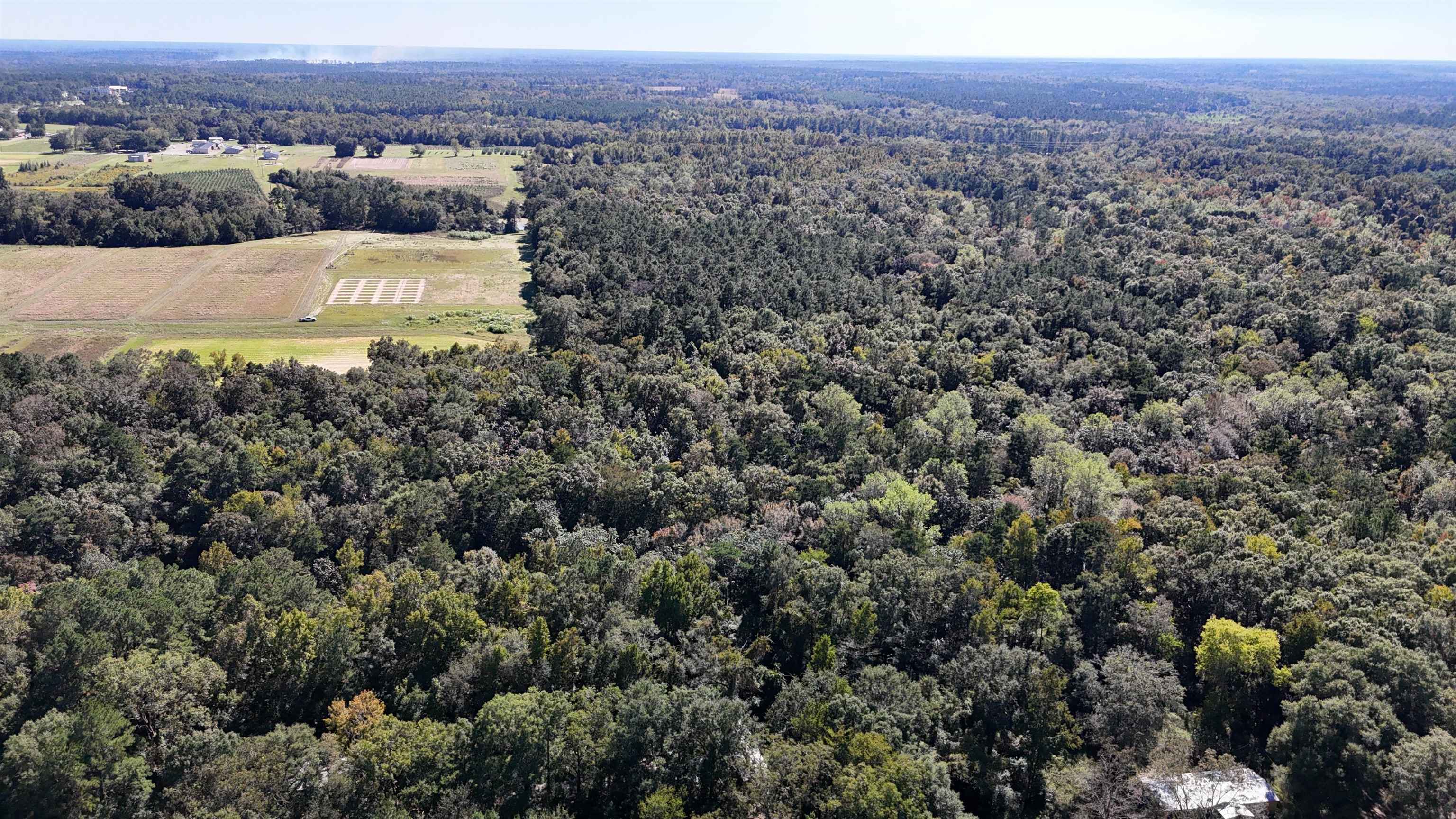 Hogan Lane, Quincy, Florida image 28