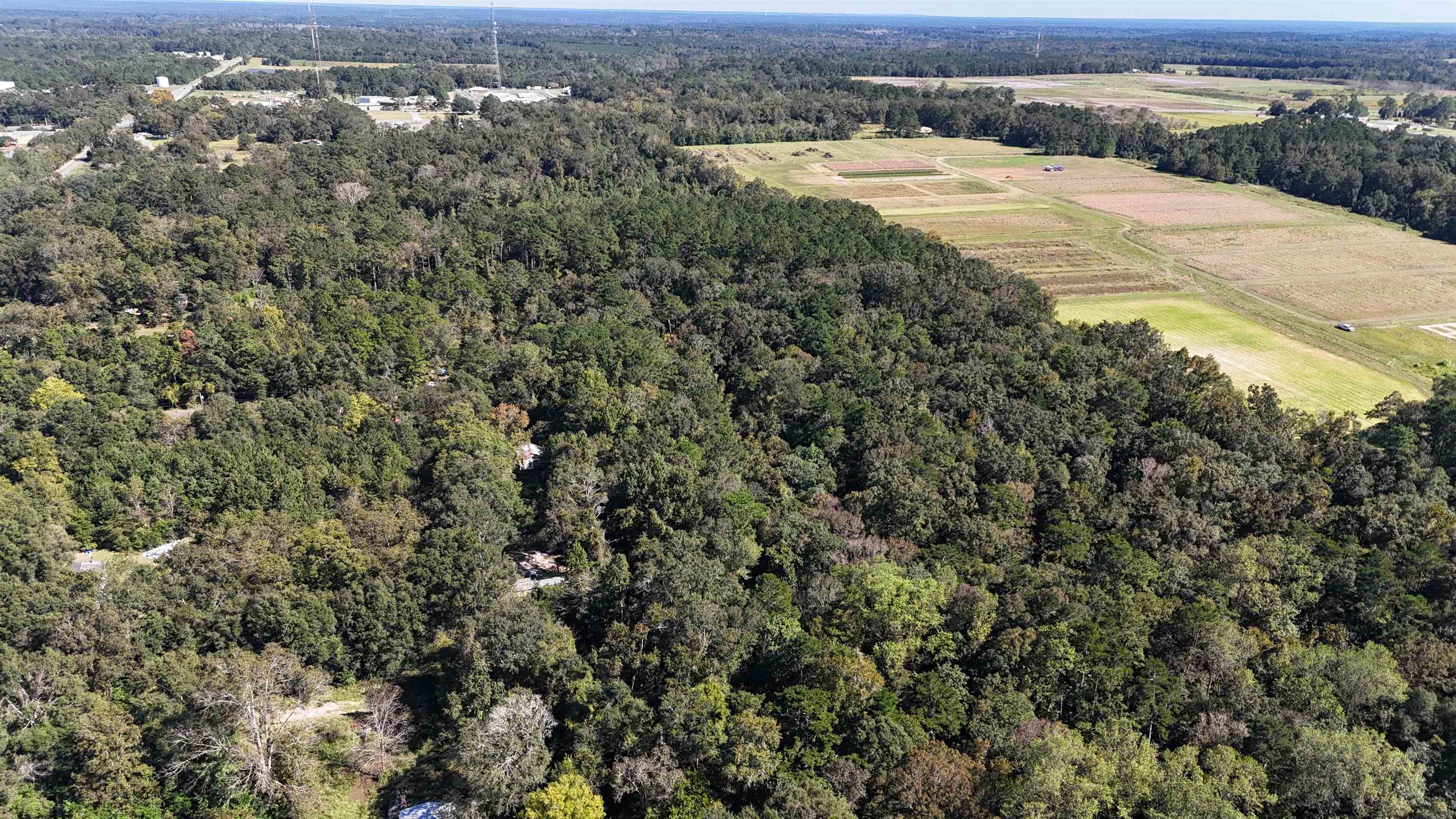 Hogan Lane, Quincy, Florida image 30