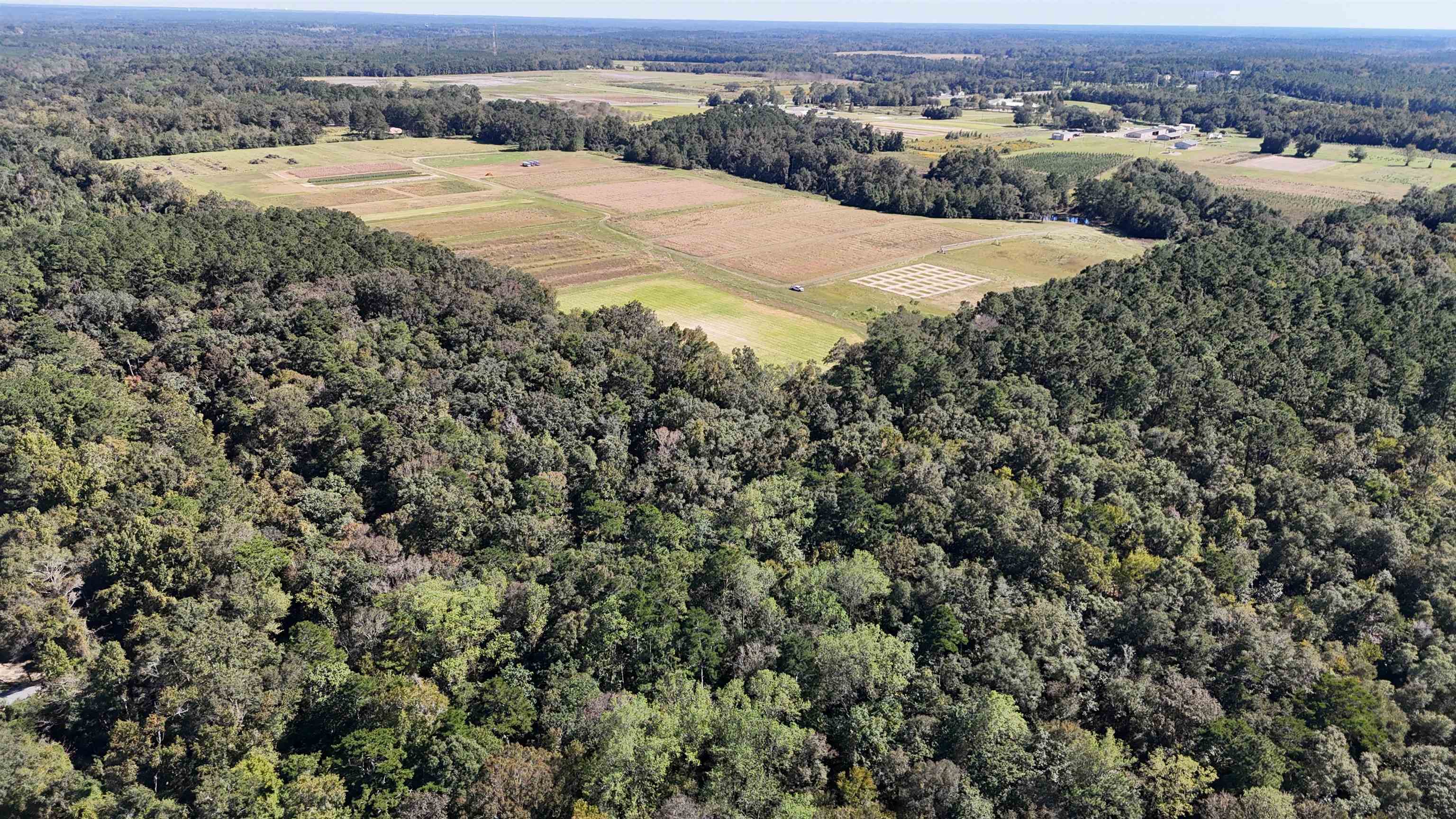 Hogan Lane, Quincy, Florida image 32