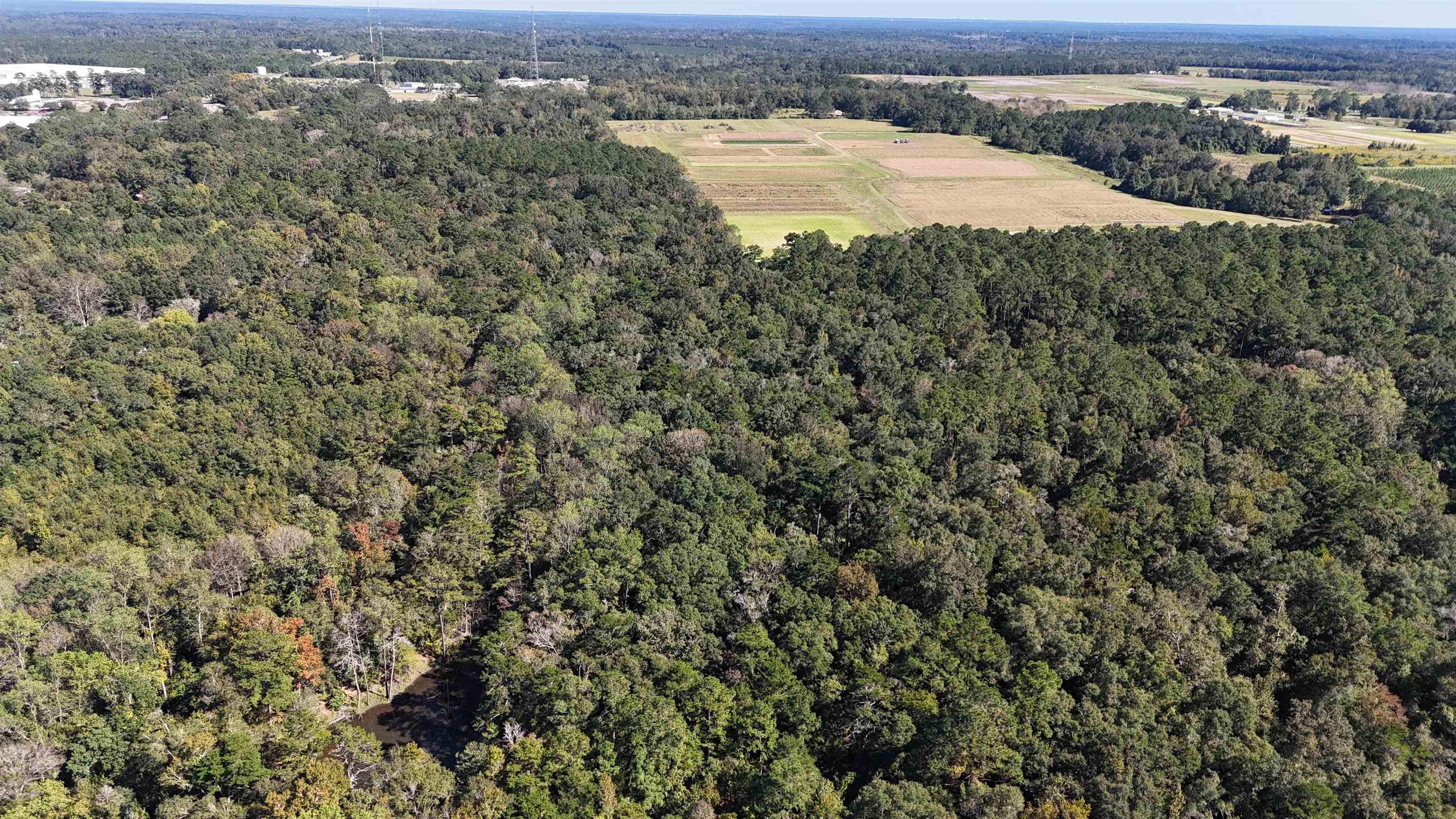 Hogan Lane, Quincy, Florida image 33