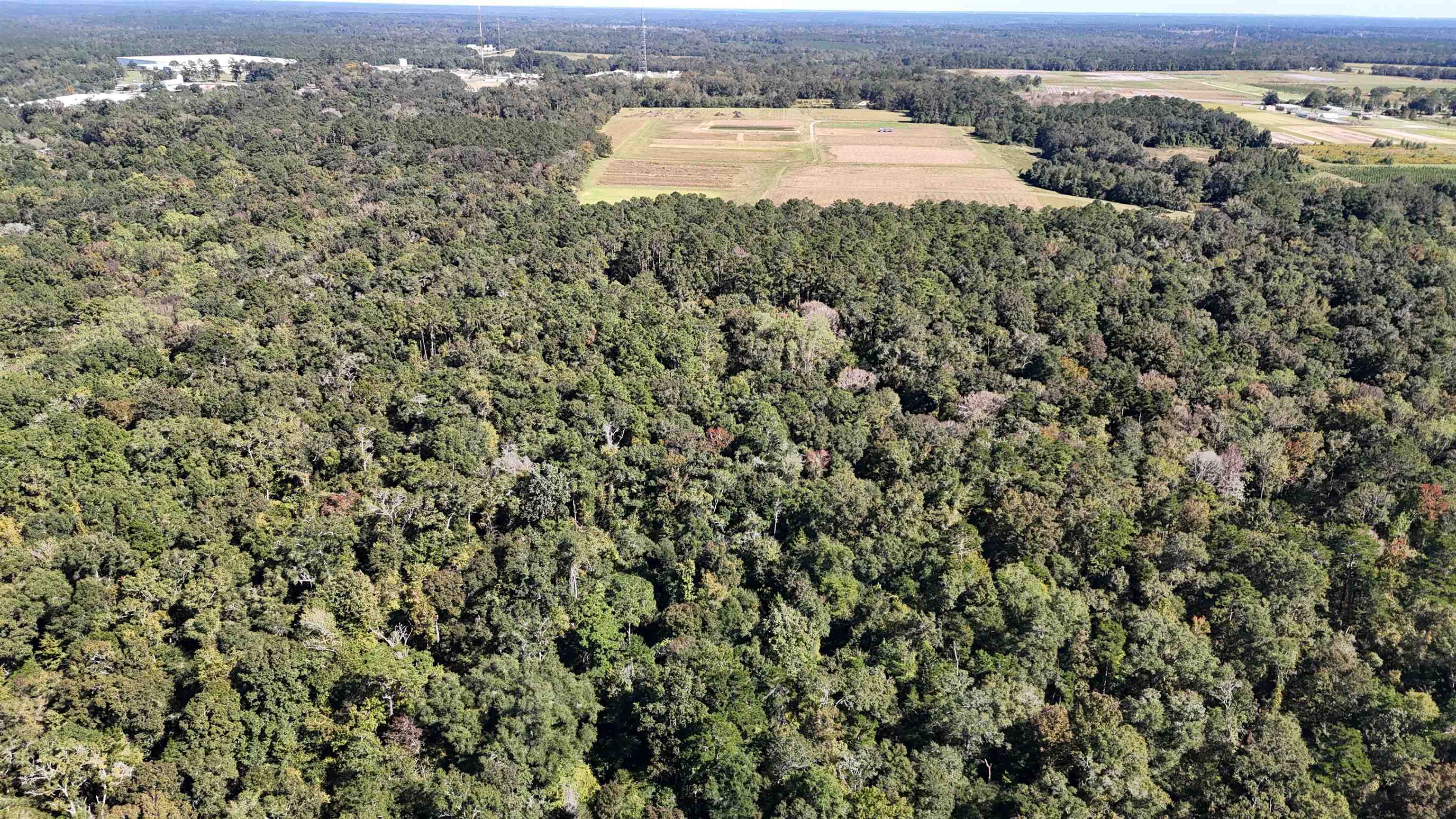 Hogan Lane, Quincy, Florida image 34