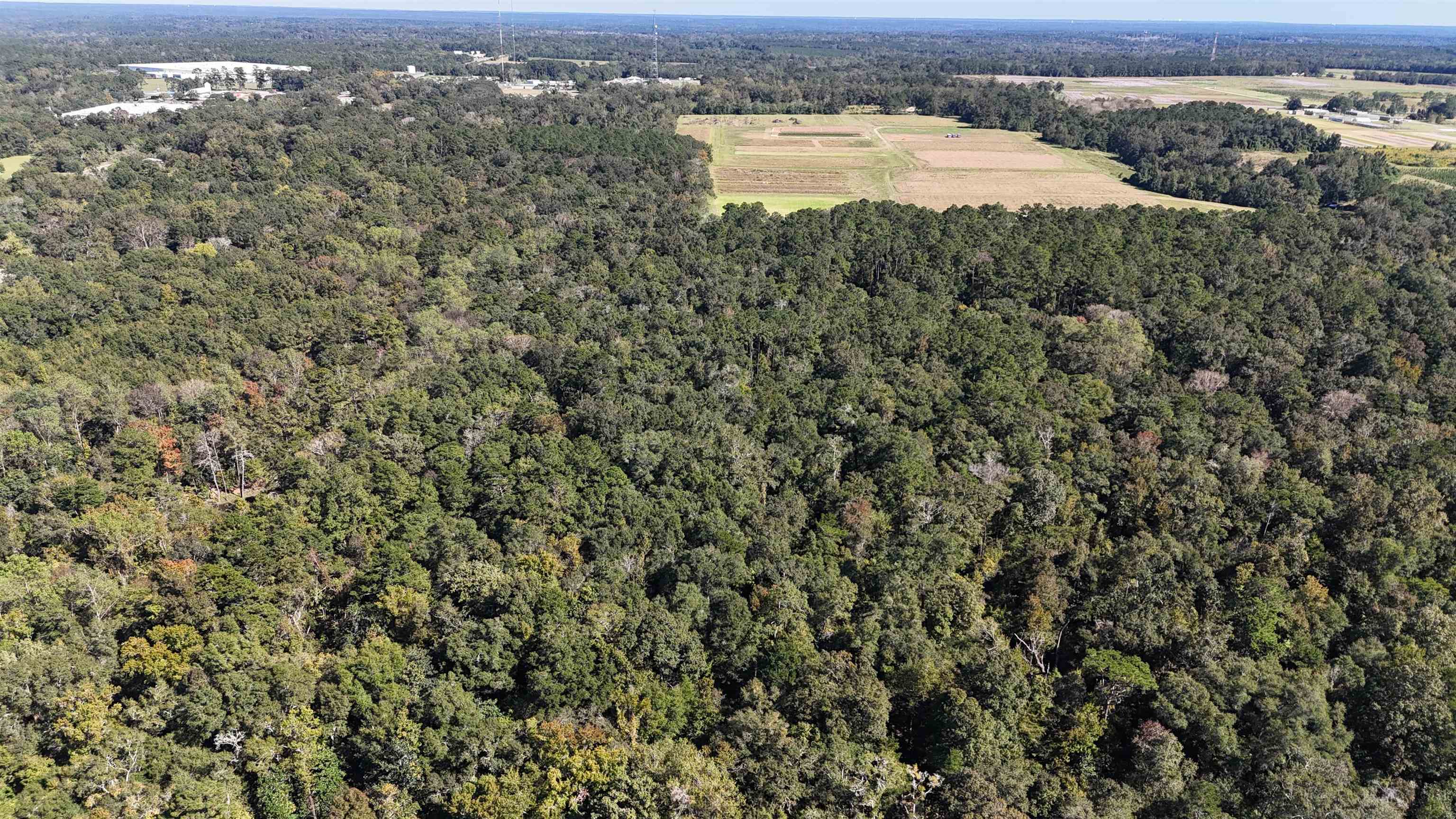 Hogan Lane, Quincy, Florida image 35