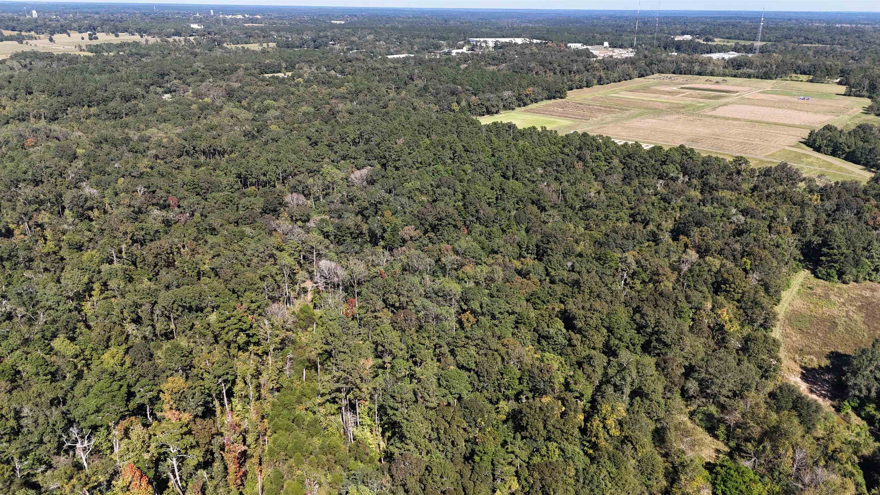 Hogan Lane, Quincy, Florida image 36