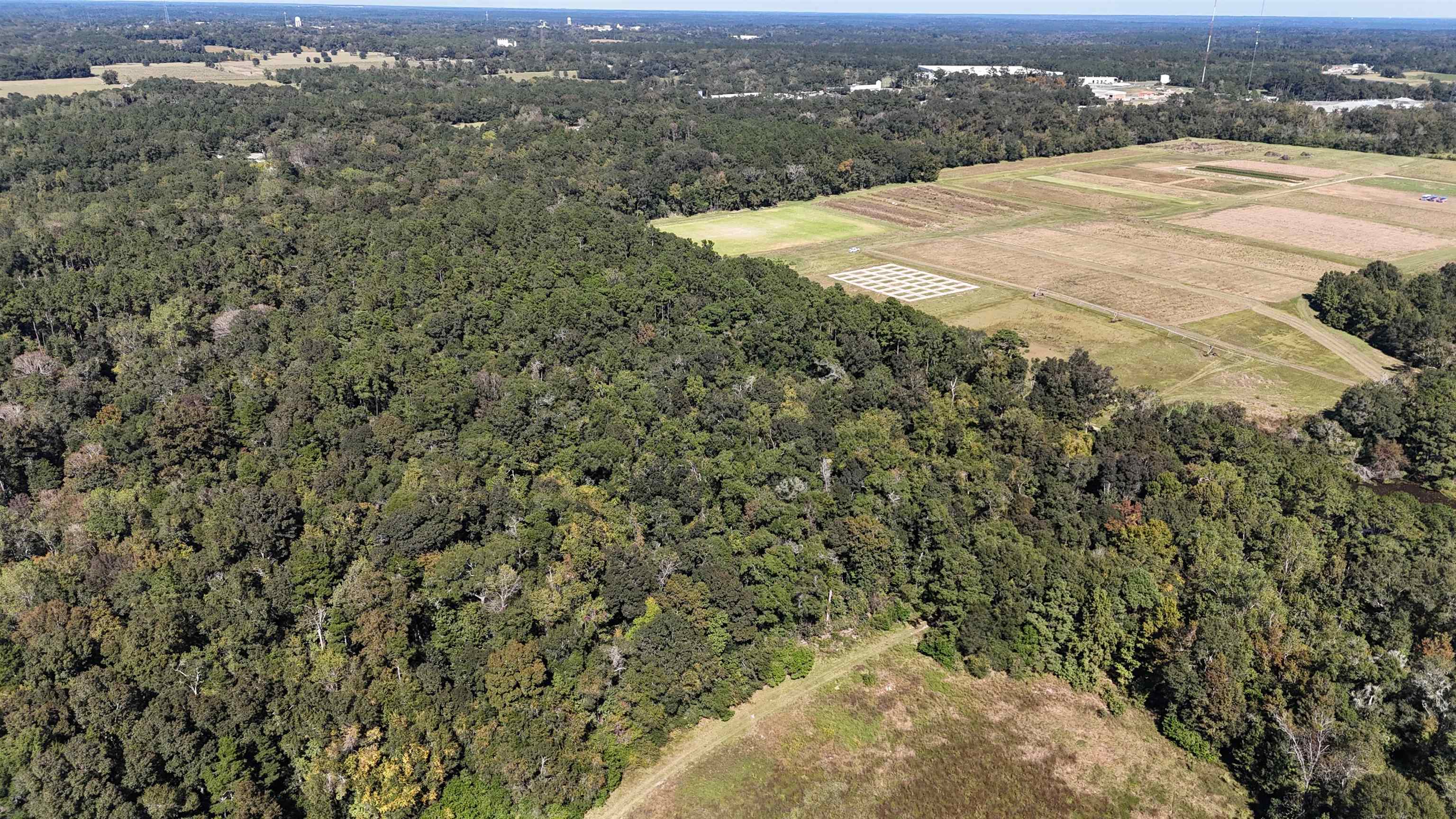 Hogan Lane, Quincy, Florida image 38