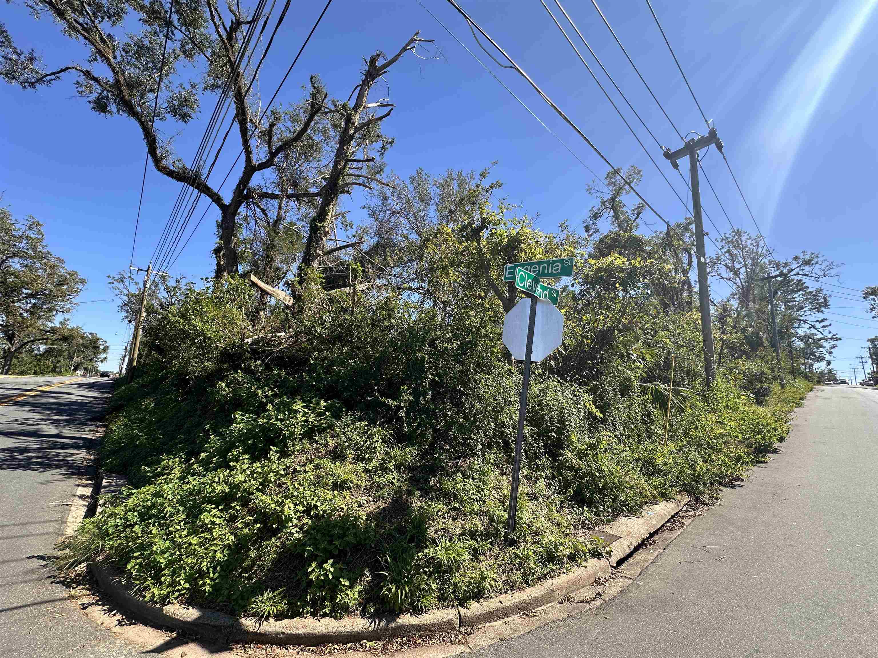 Eugenia Street, Tallahassee, Florida image 4