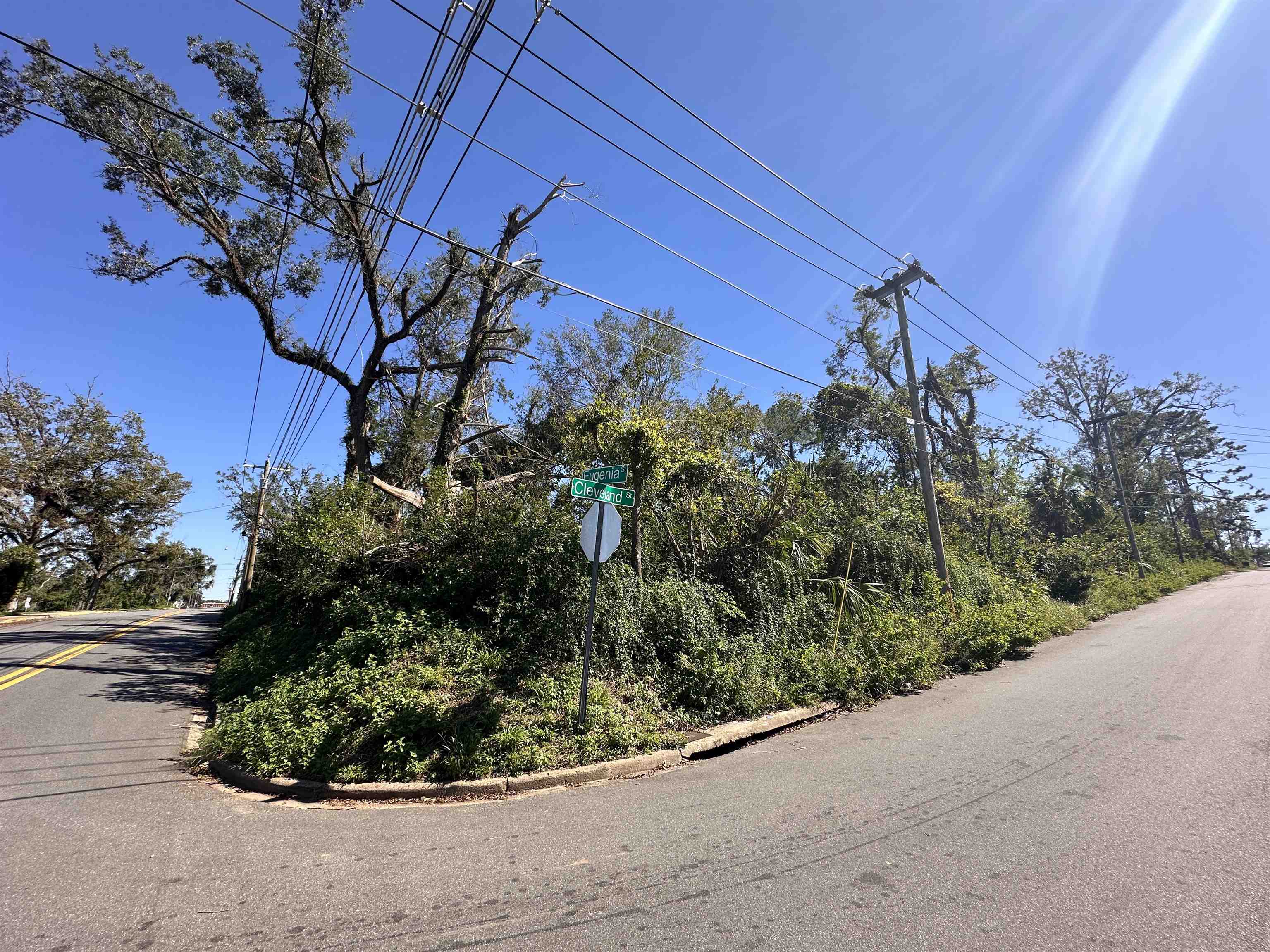 Eugenia Street, Tallahassee, Florida image 5