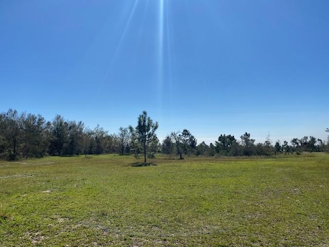 2082 SE Donaldson Road, Lee, Florida image 1