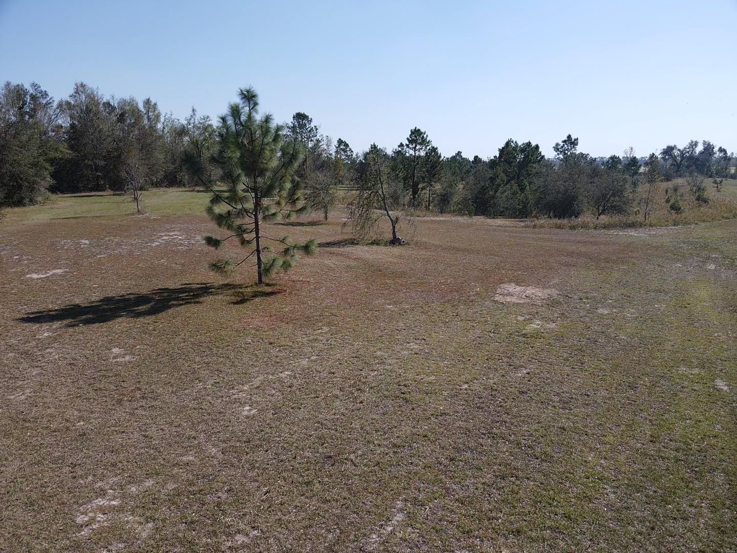 2082 SE Donaldson Road, Lee, Florida image 10
