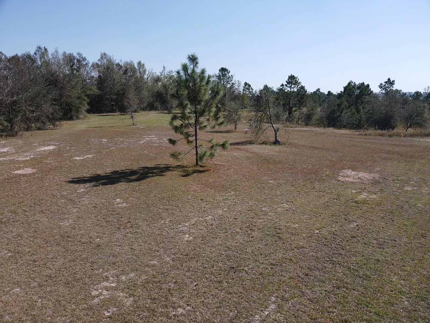 2082 SE Donaldson Road, Lee, Florida image 11