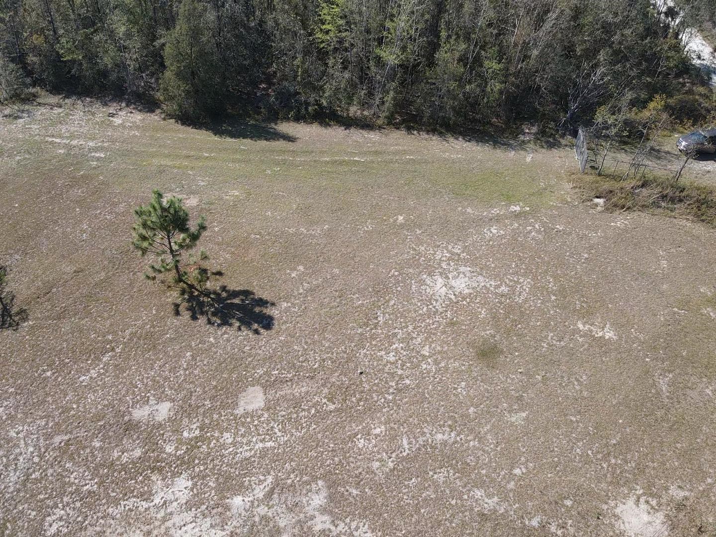 2082 SE Donaldson Road, Lee, Florida image 12