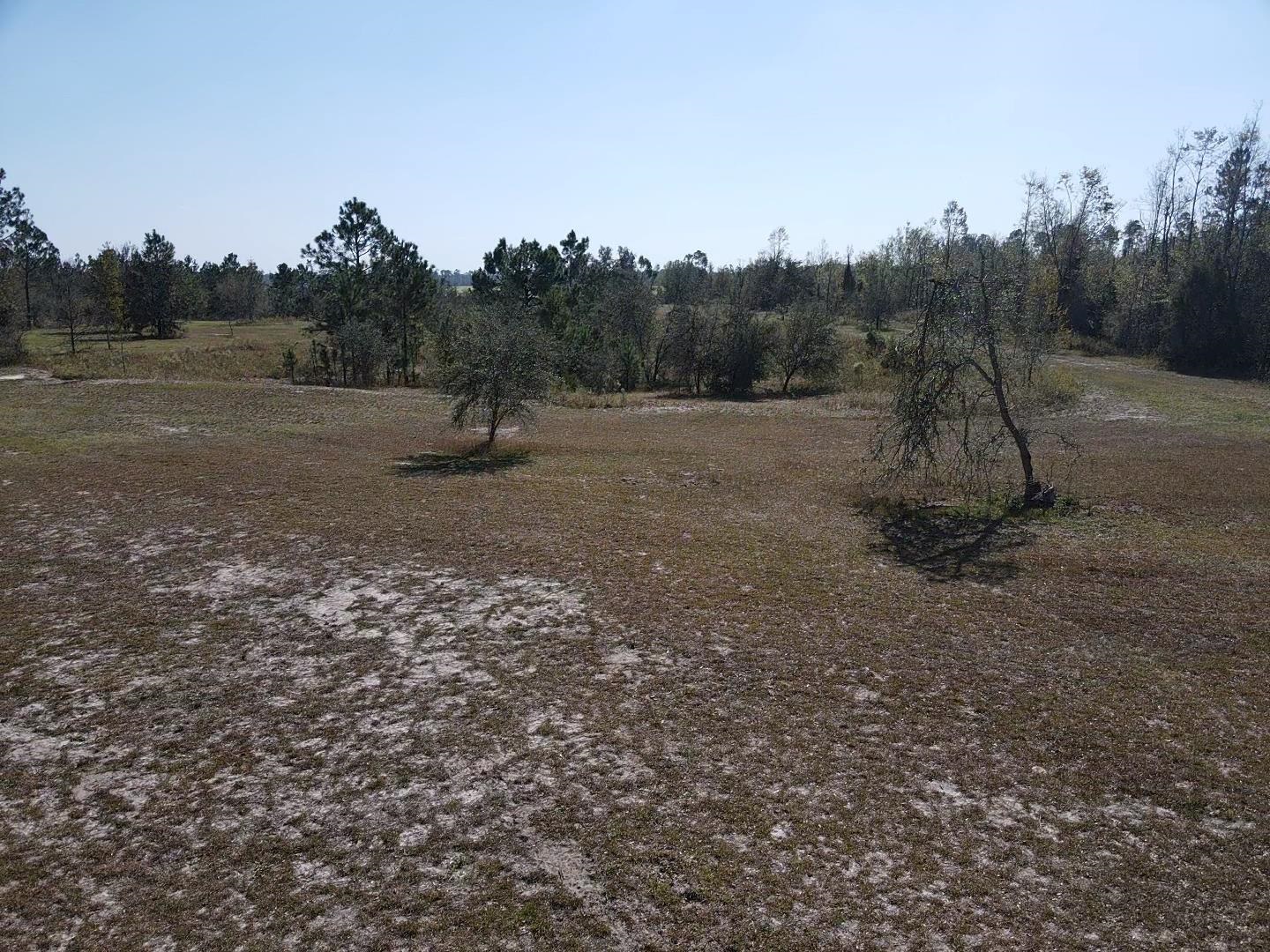 2082 SE Donaldson Road, Lee, Florida image 14