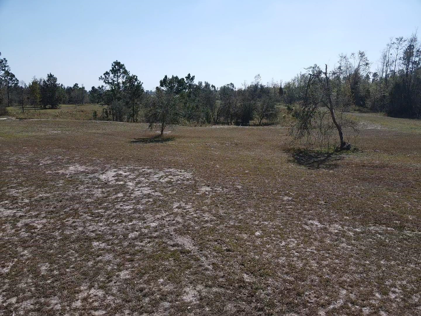 2082 SE Donaldson Road, Lee, Florida image 9