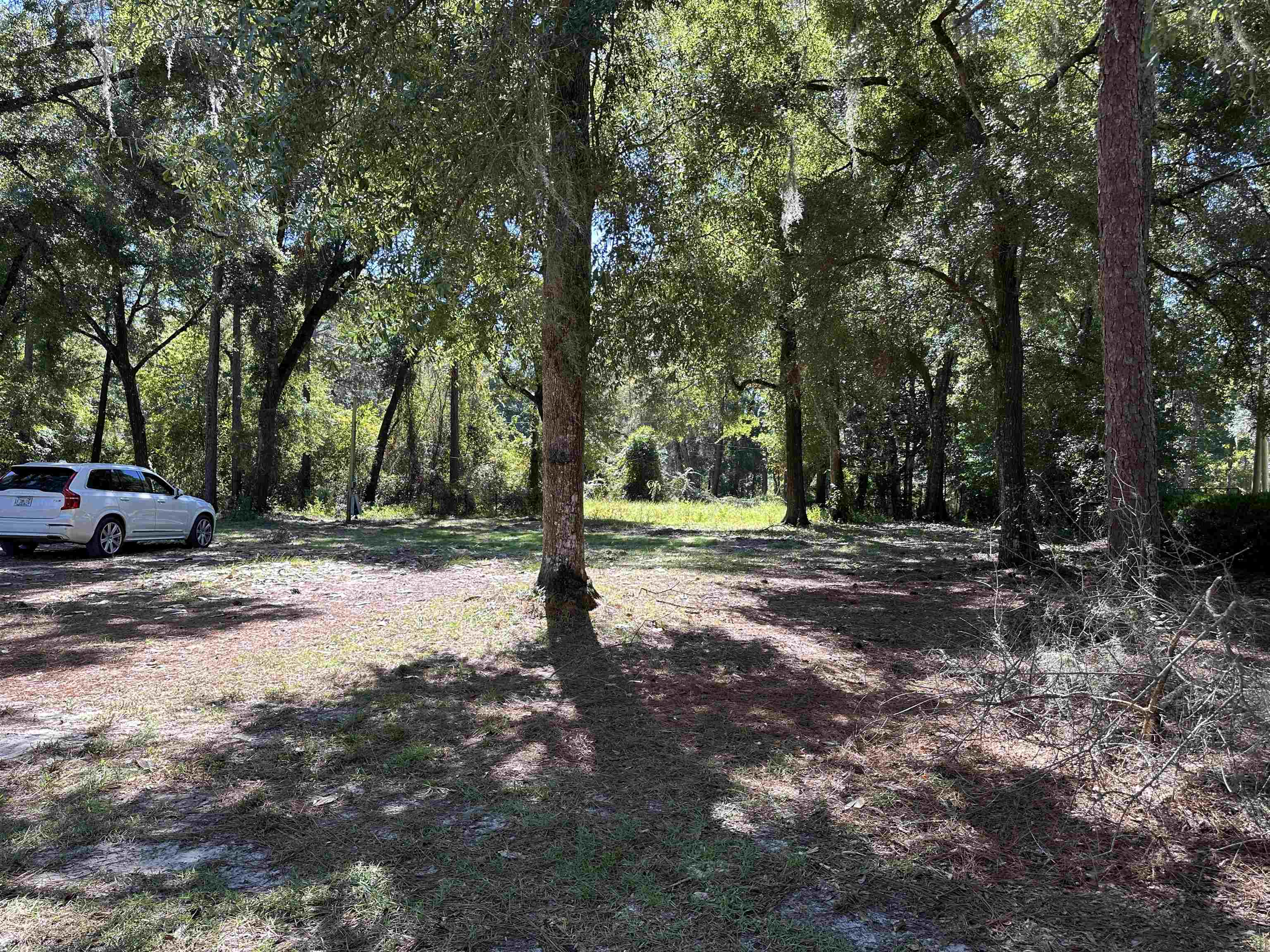 18290 Talquin Drive, Tallahassee, Florida image 9