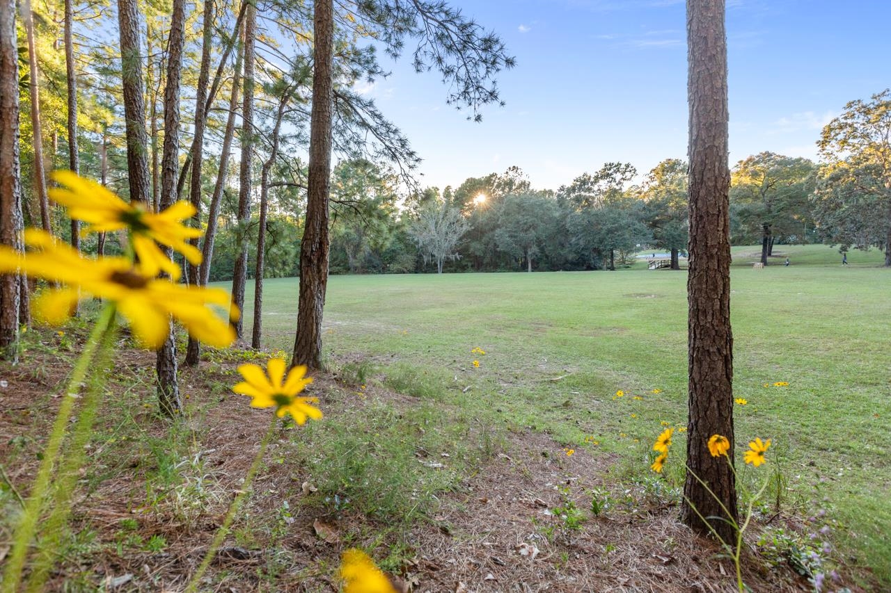 1891 Folkstone Road, Tallahassee, Florida image 36