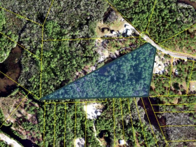 315 Baywood Drive, Carrabelle, Florida image 1