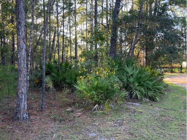 315 Baywood Drive, Carrabelle, Florida image 5