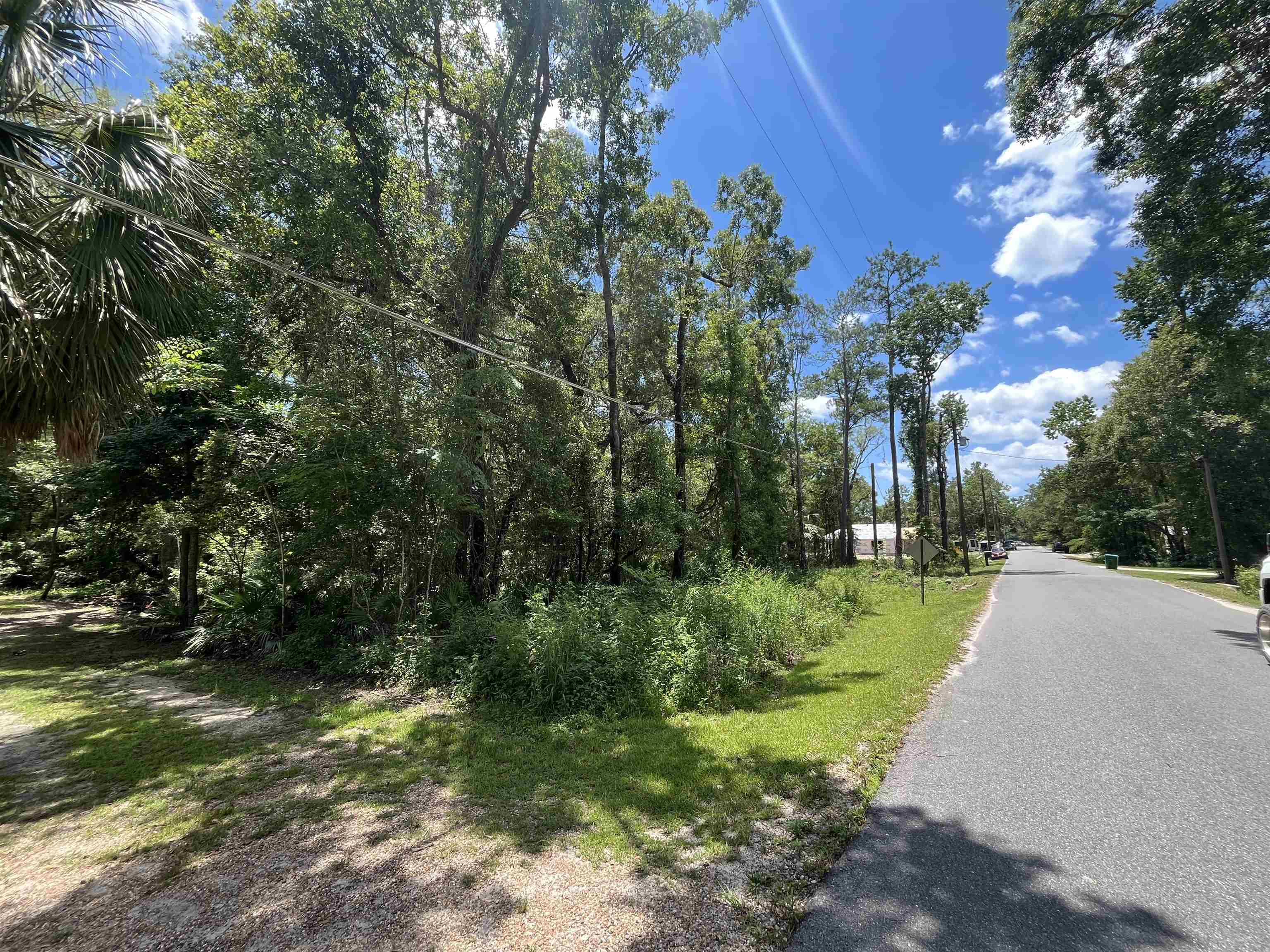 Franklin Drive, Crawfordville, Florida image 10