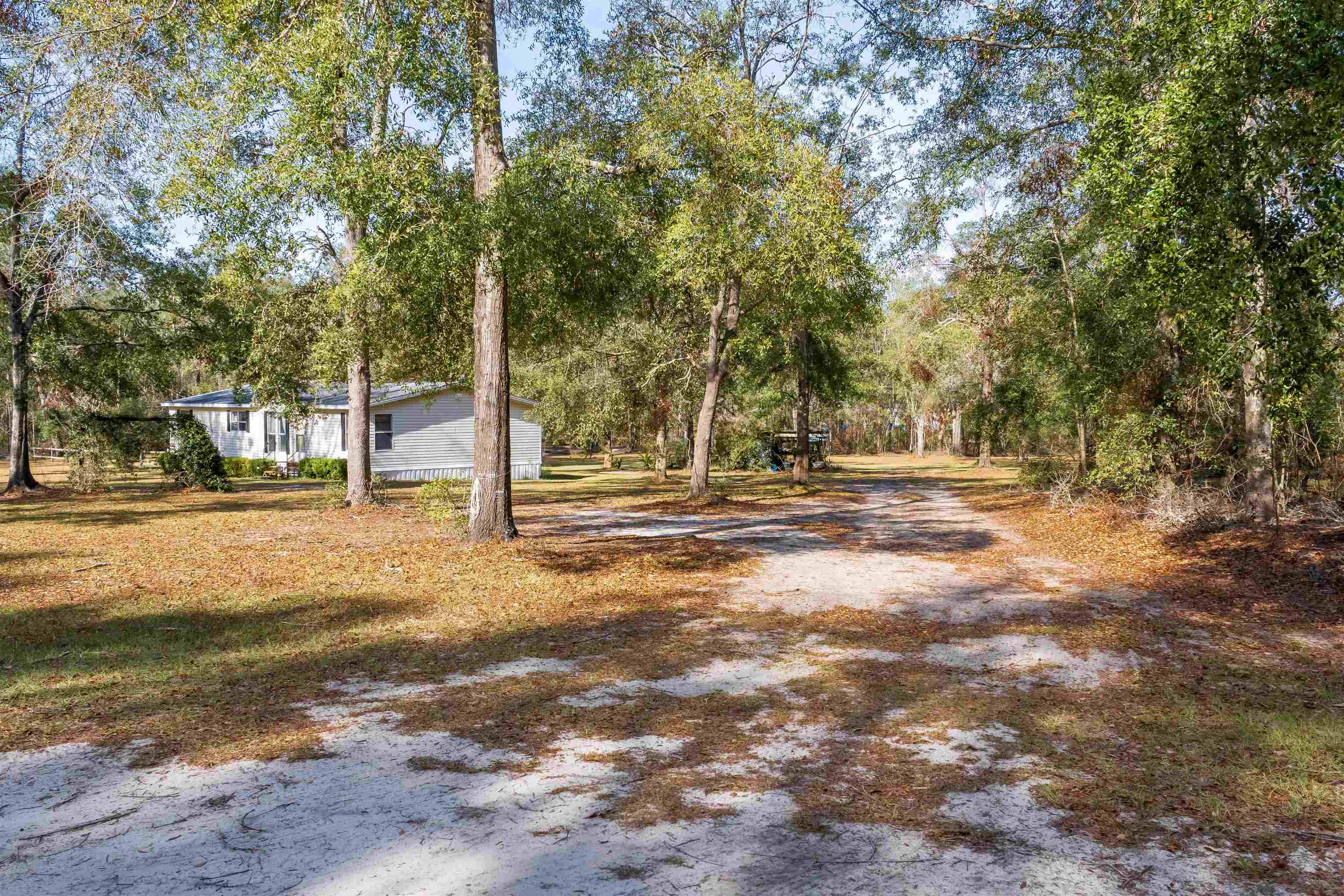 225 NE Champion Loop, Lee, Florida image 5