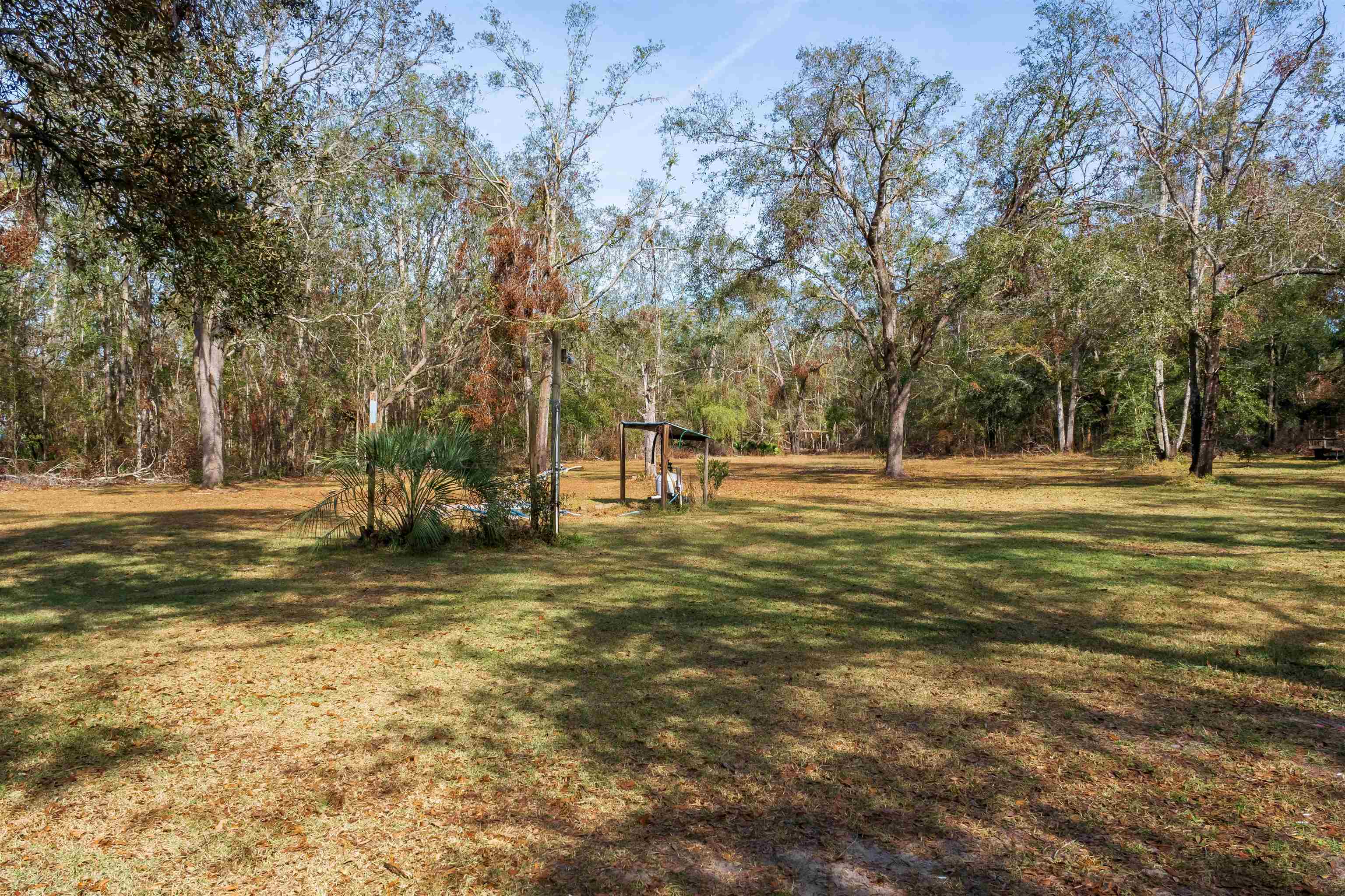 225 NE Champion Loop, Lee, Florida image 9