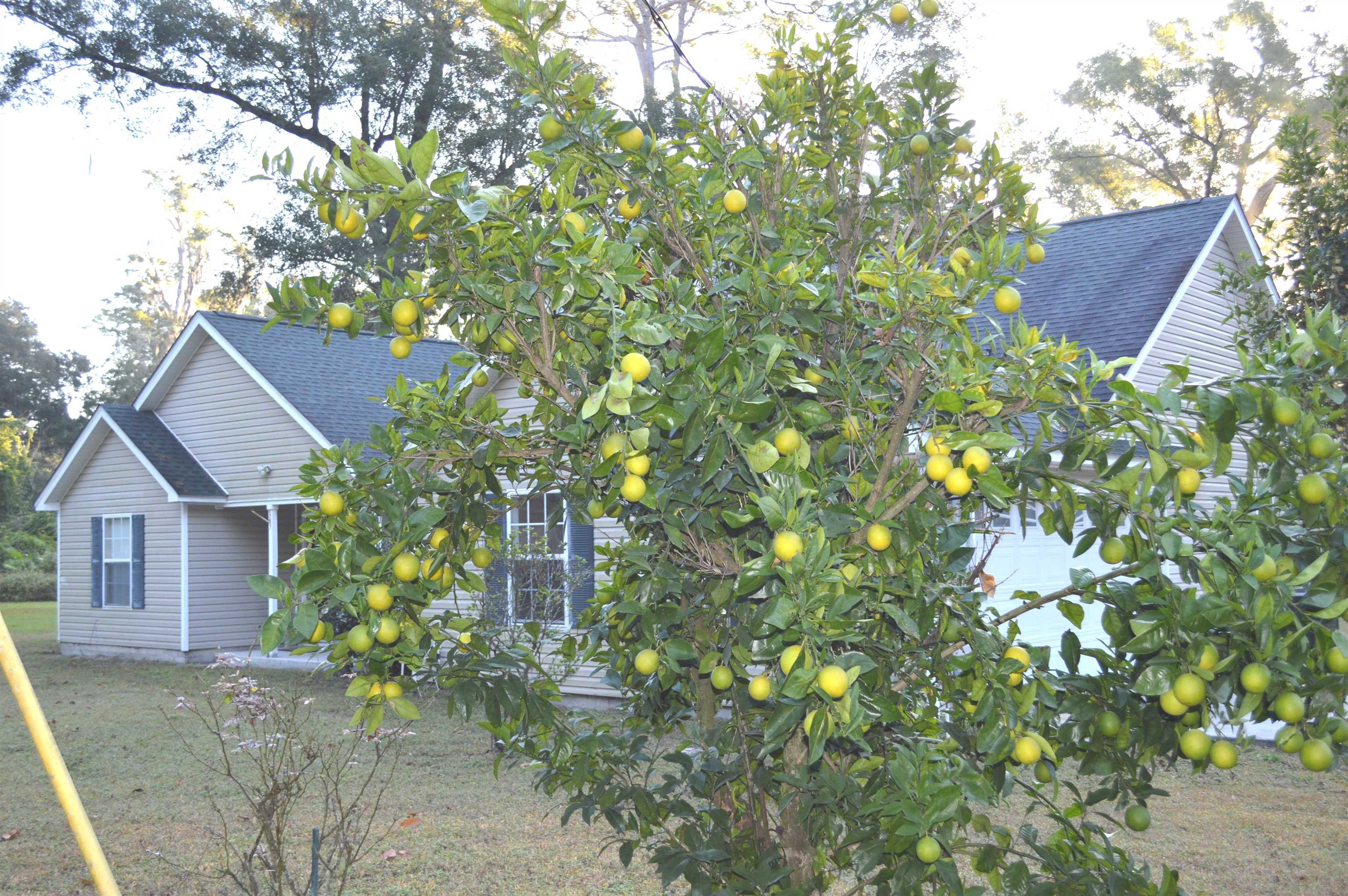 21 Marsue Drive, Crawfordville, Florida image 11