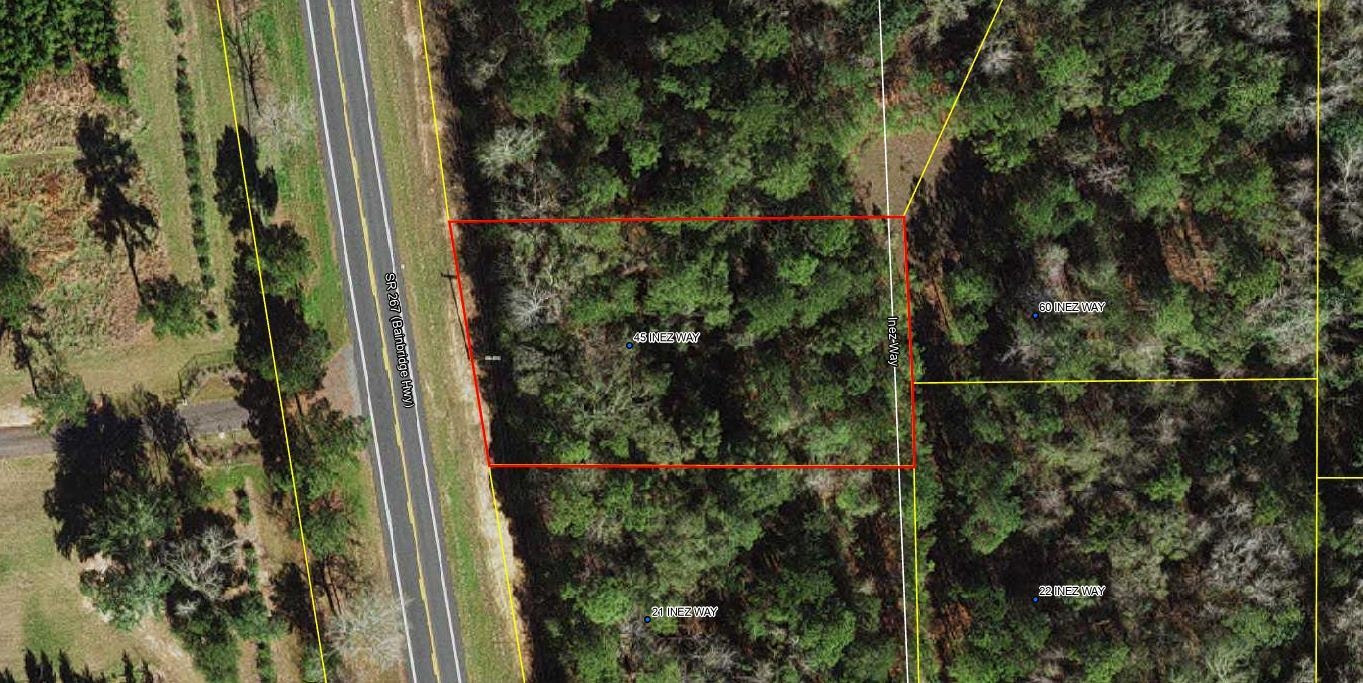 45 Inez Way, Quincy, Florida image 1