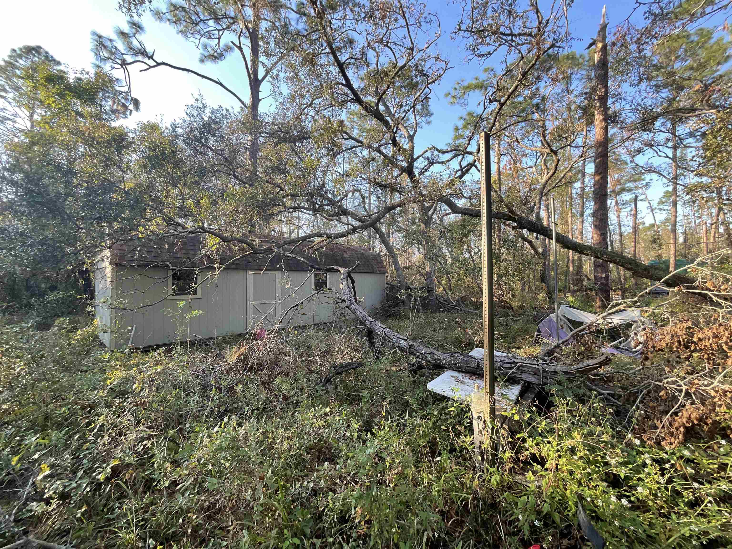 Vacant NE River Park Road, Lee, Florida image 11