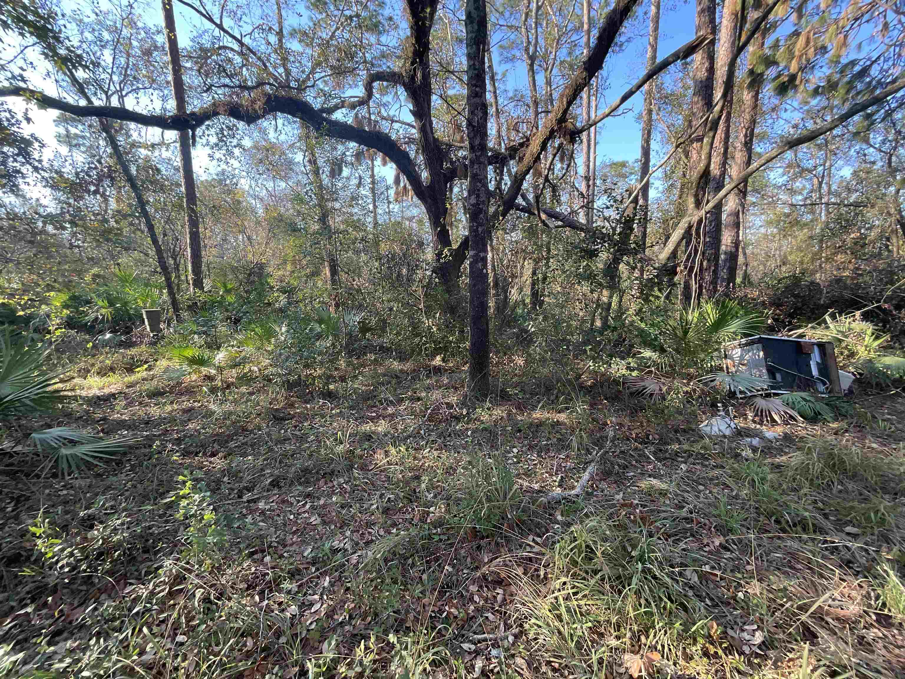 Vacant NE River Park Road, Lee, Florida image 12