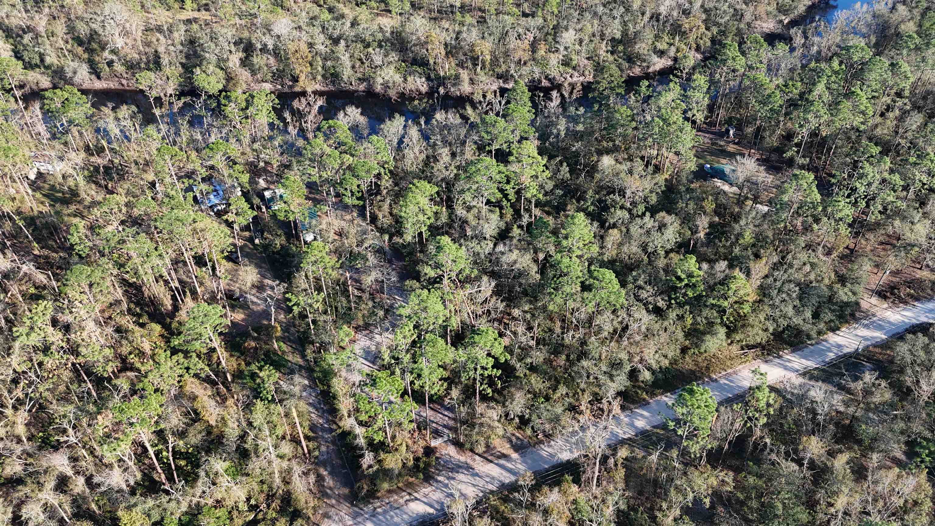 Vacant NE River Park Road, Lee, Florida image 19