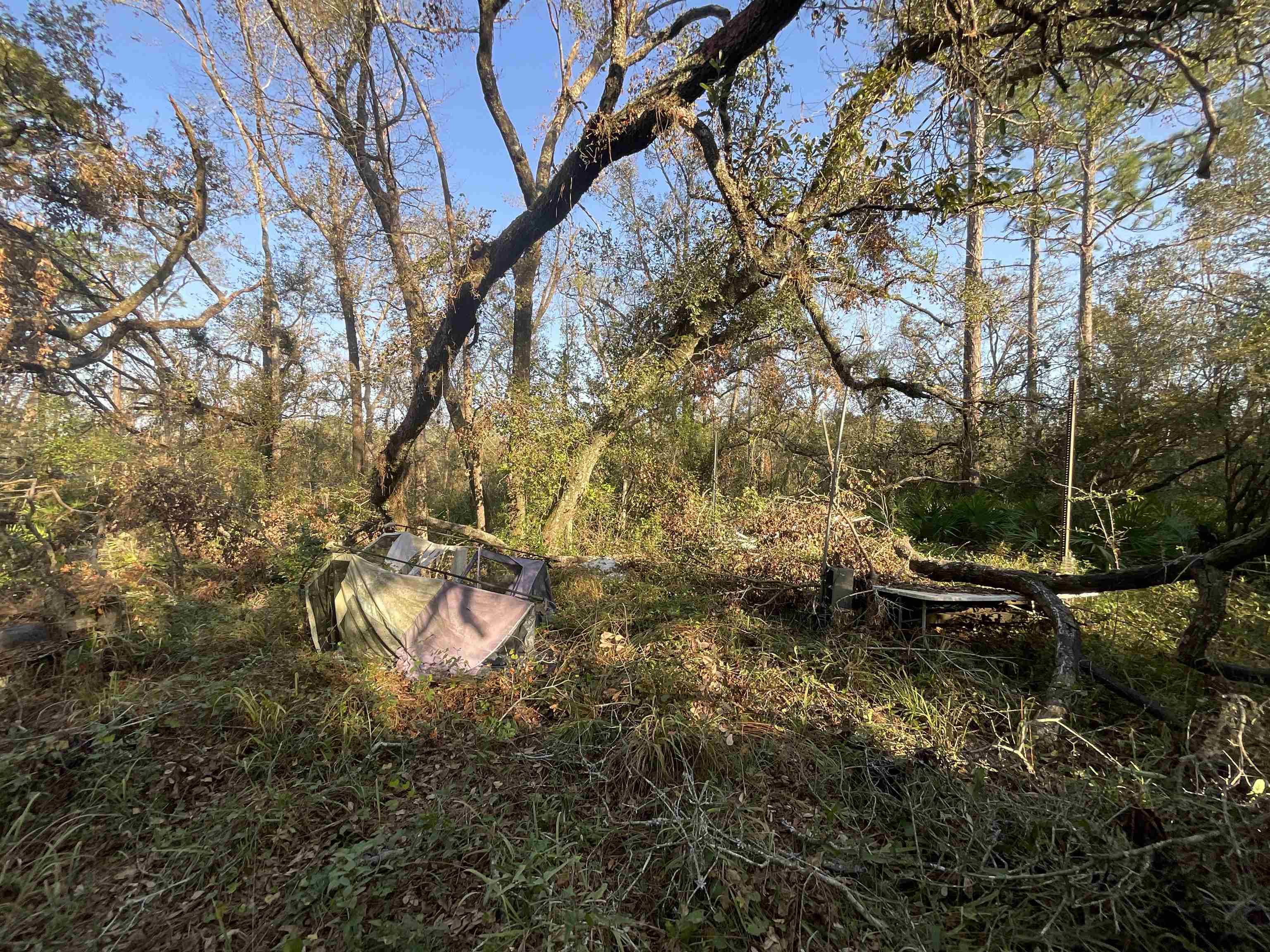 Vacant NE River Park Road, Lee, Florida image 23