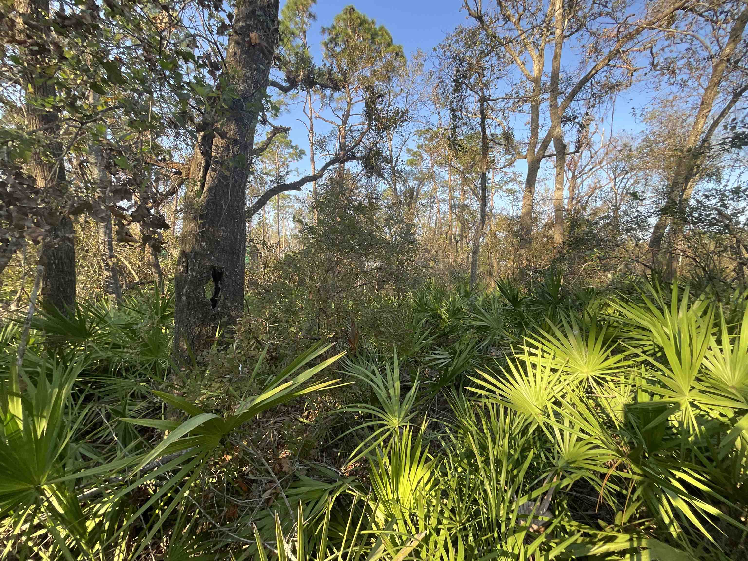 Vacant NE River Park Road, Lee, Florida image 24