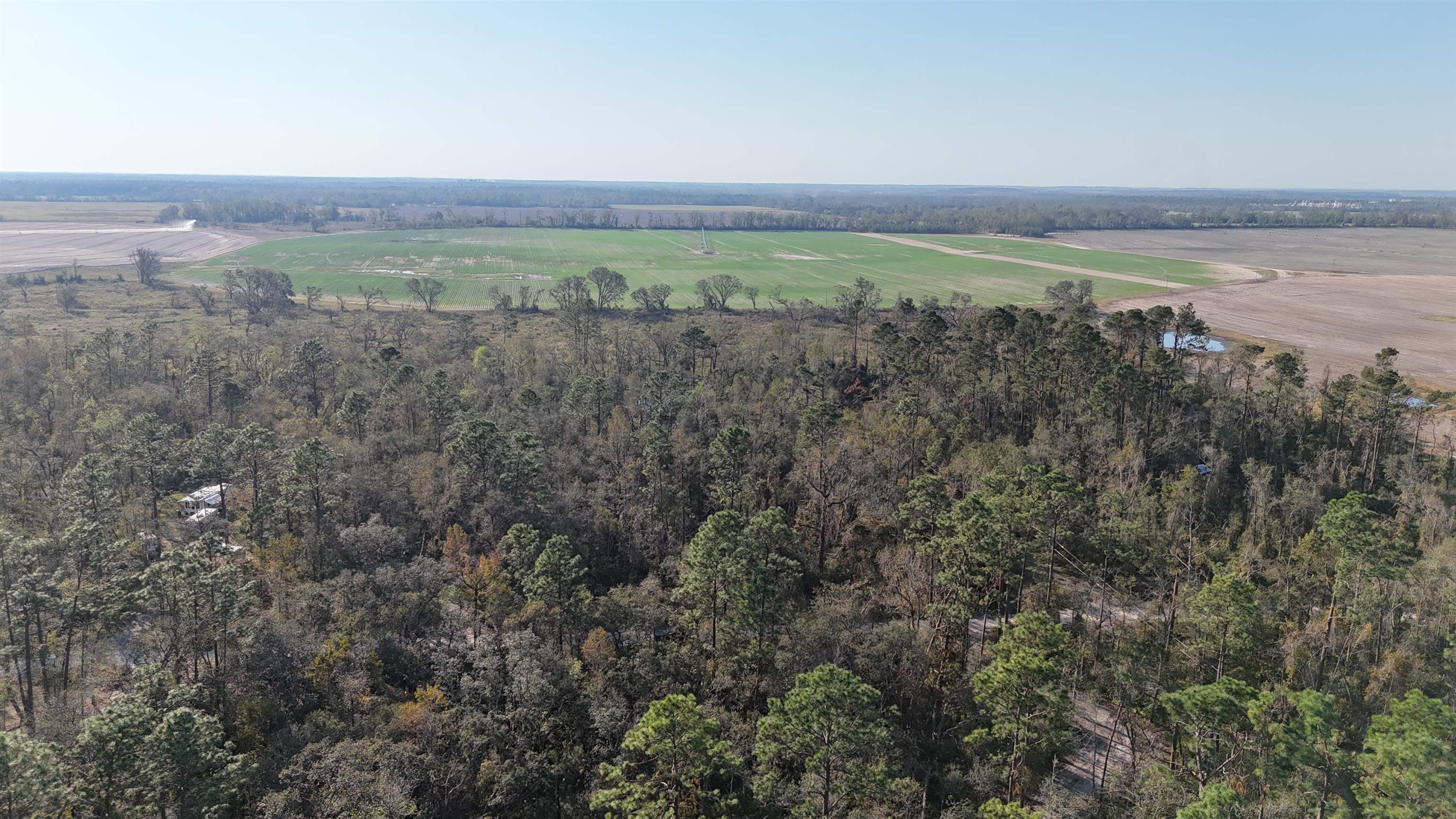 Vacant NE River Park Road, Lee, Florida image 25