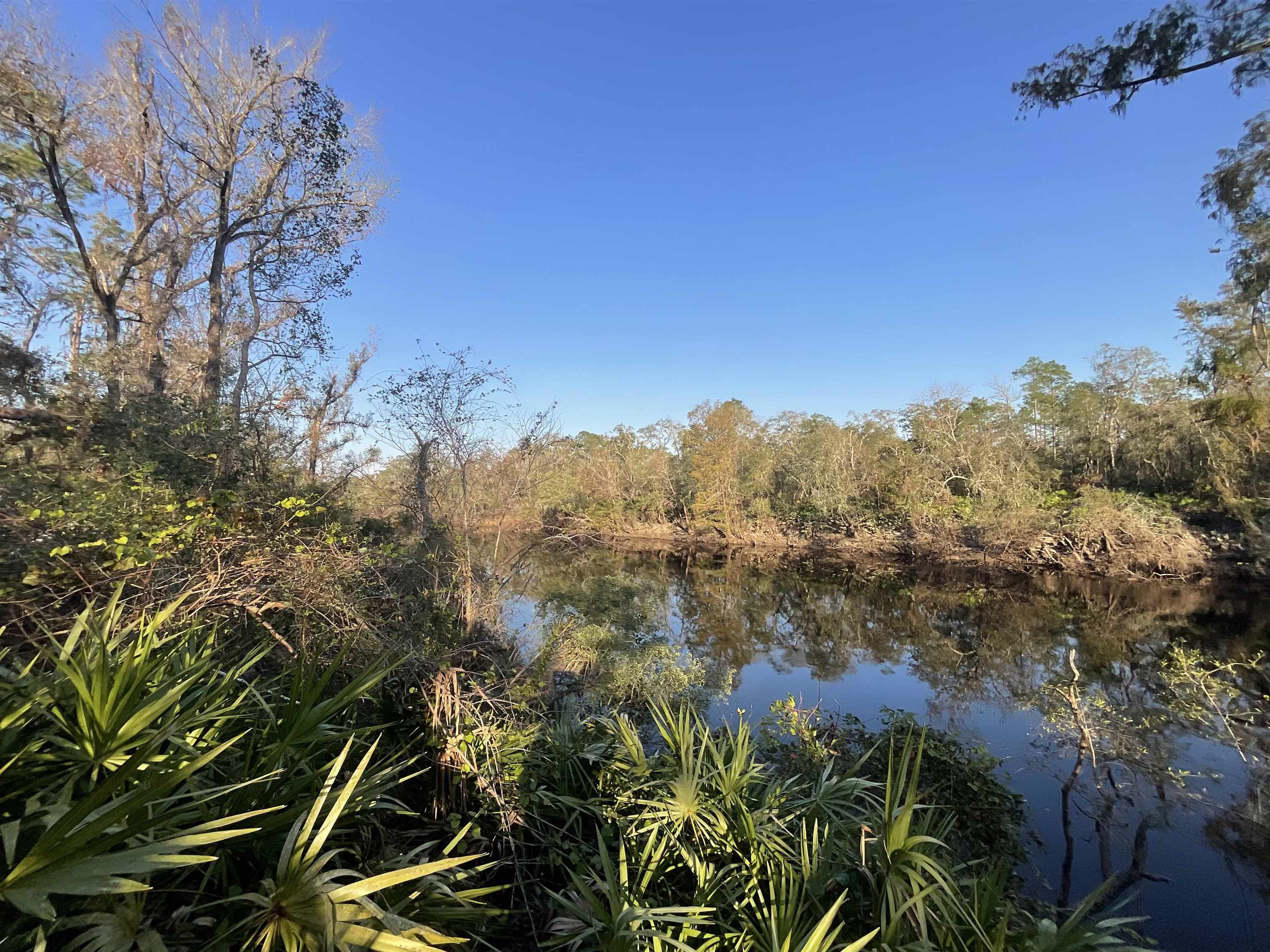 Vacant NE River Park Road, Lee, Florida image 27