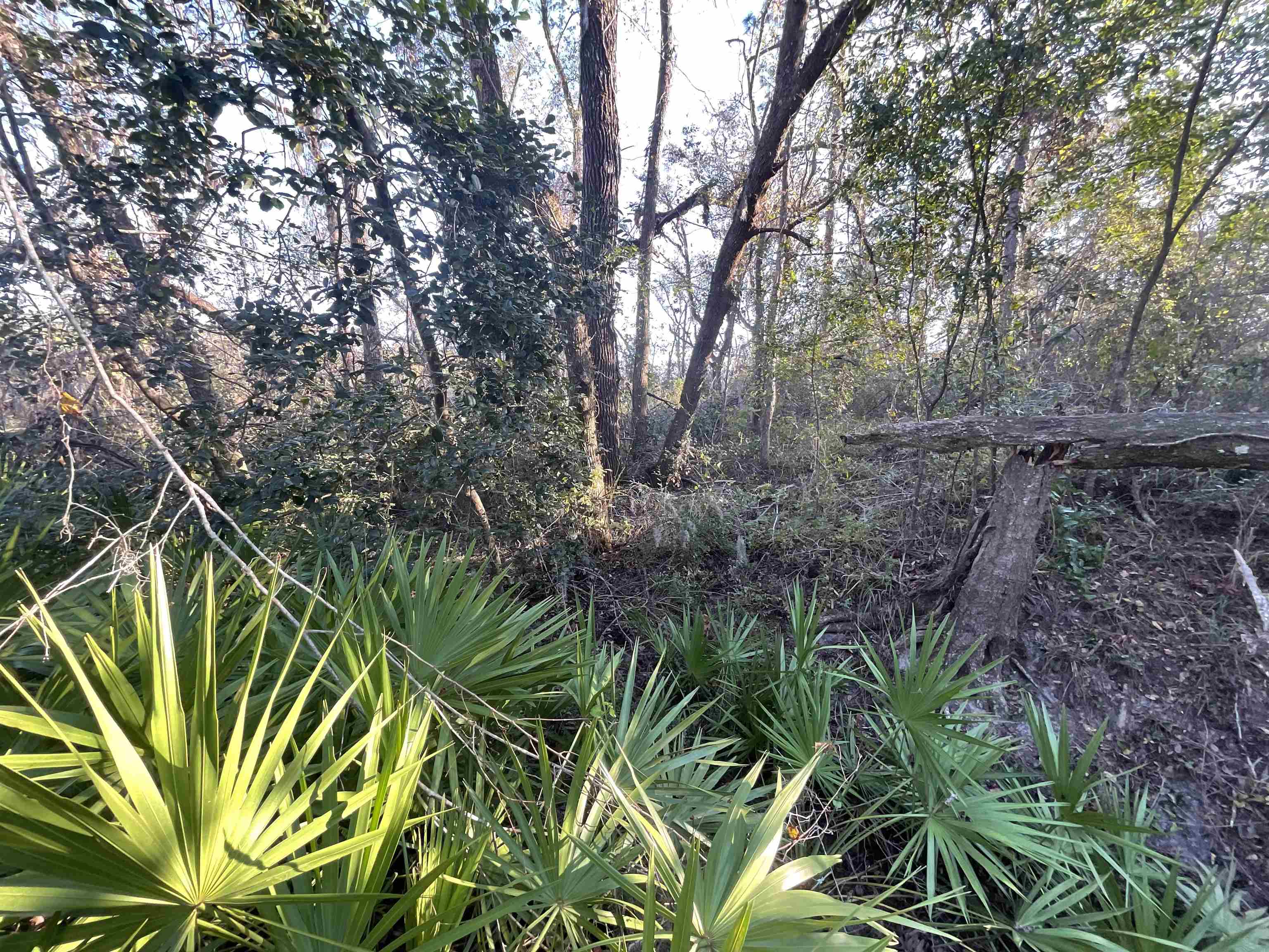 Vacant NE River Park Road, Lee, Florida image 28