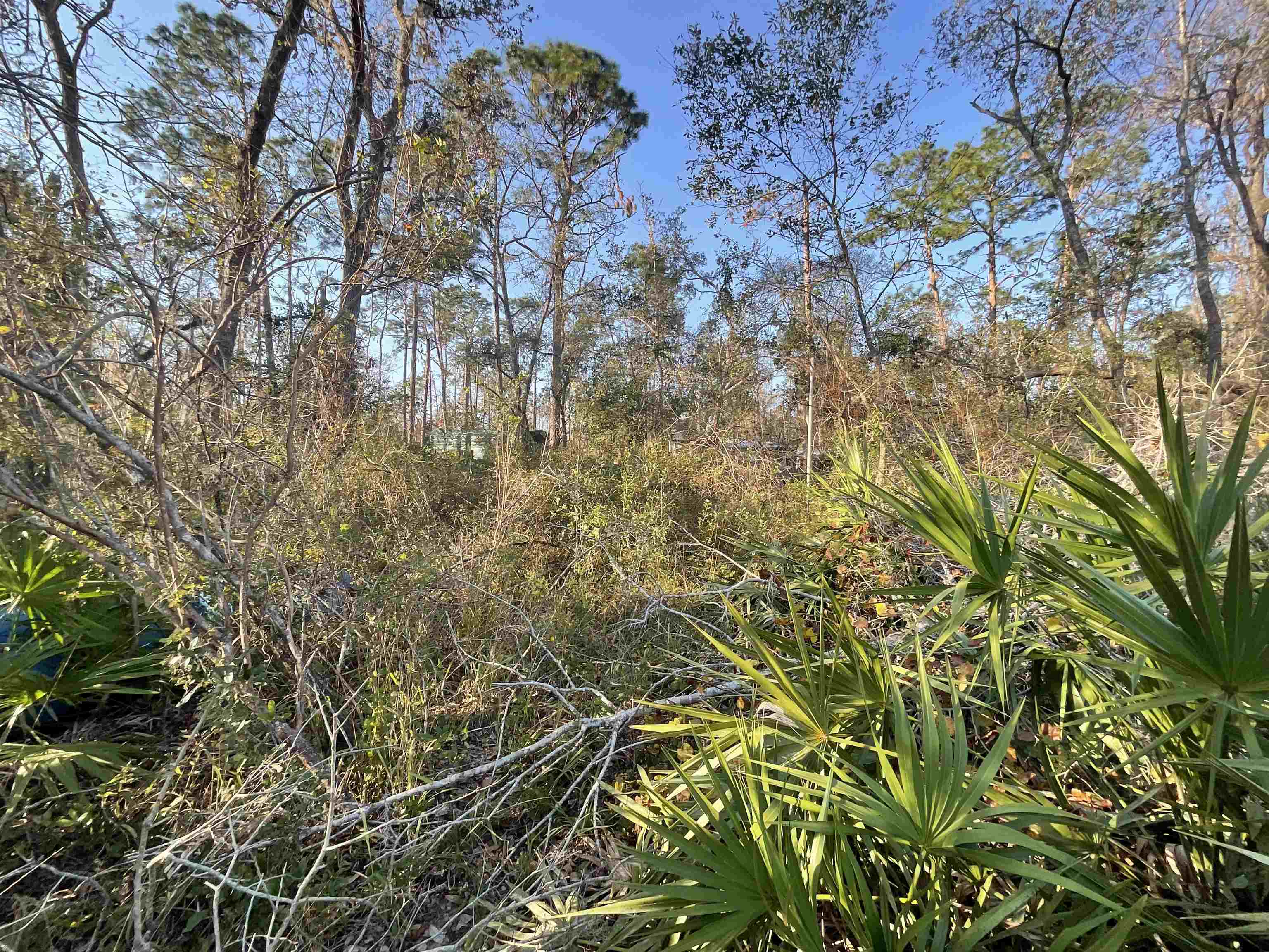 Vacant NE River Park Road, Lee, Florida image 29