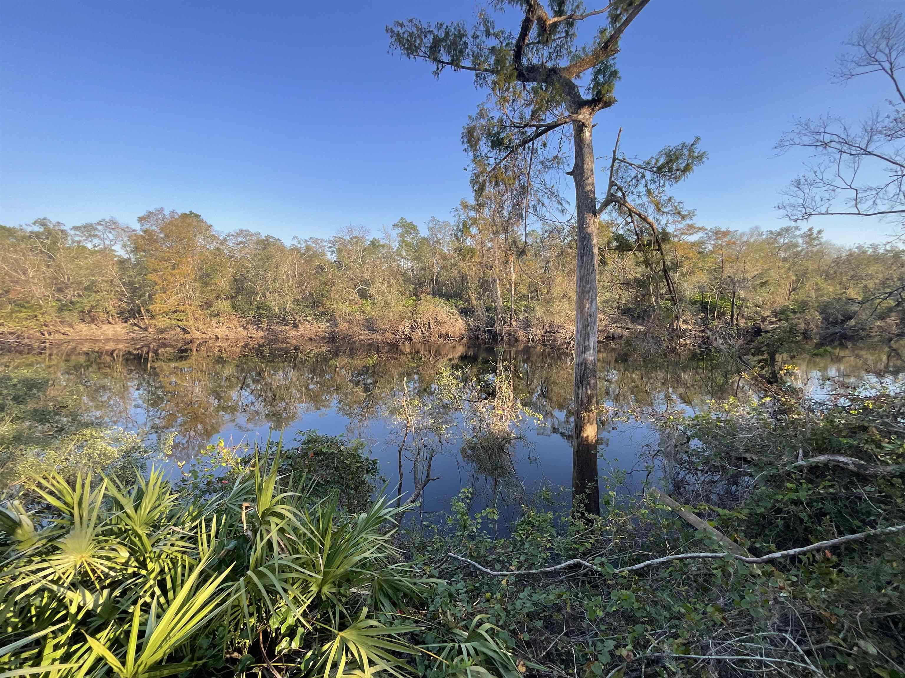 Vacant NE River Park Road, Lee, Florida image 3