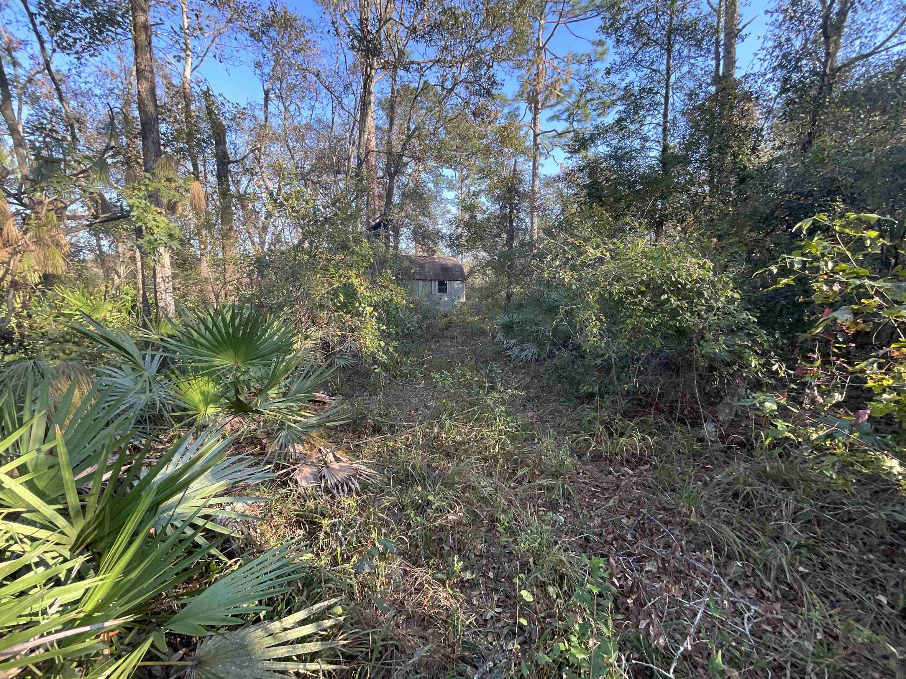 Vacant NE River Park Road, Lee, Florida image 30