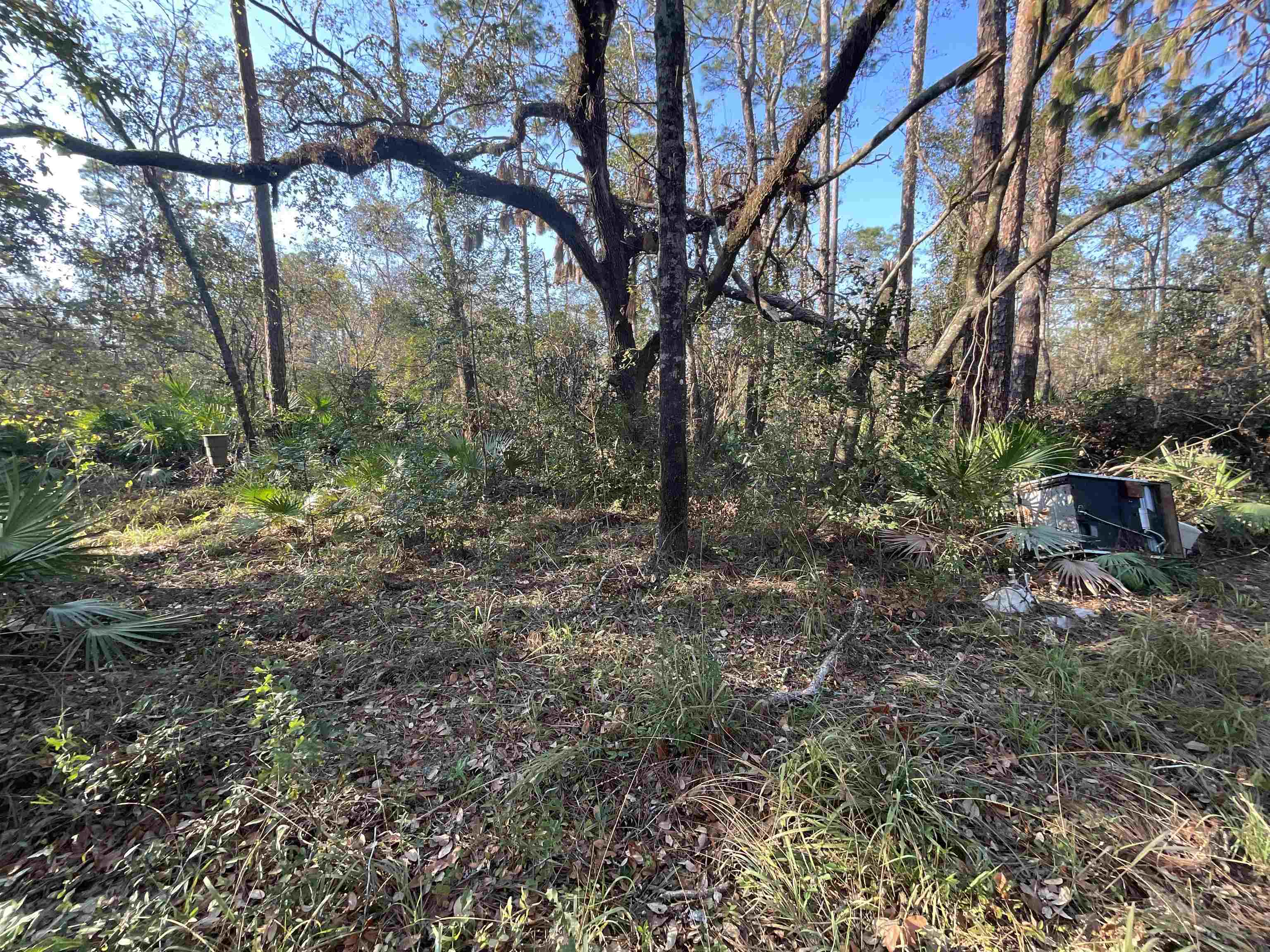 Vacant NE River Park Road, Lee, Florida image 31