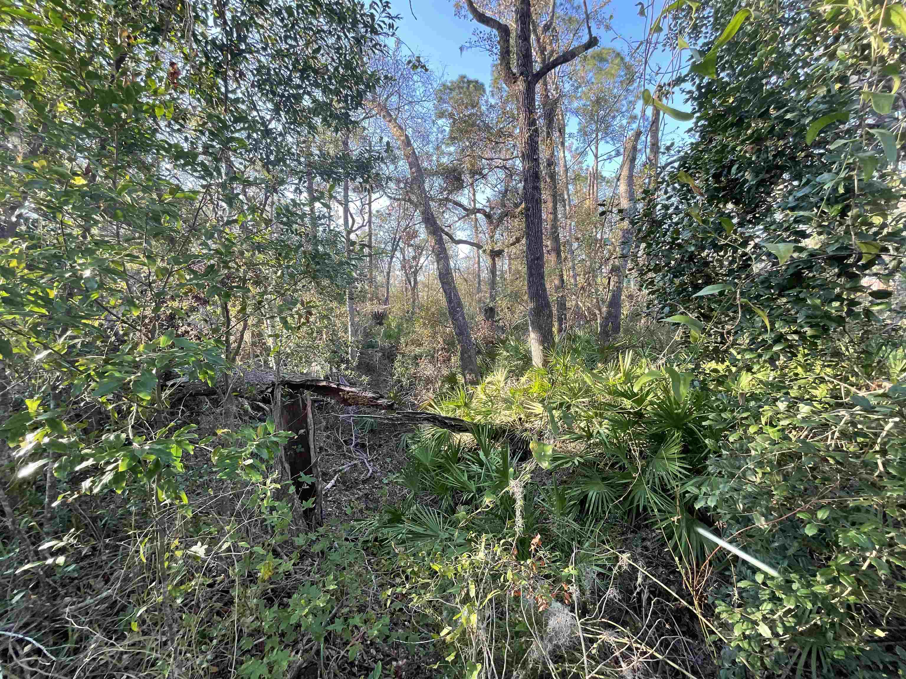 Vacant NE River Park Road, Lee, Florida image 37