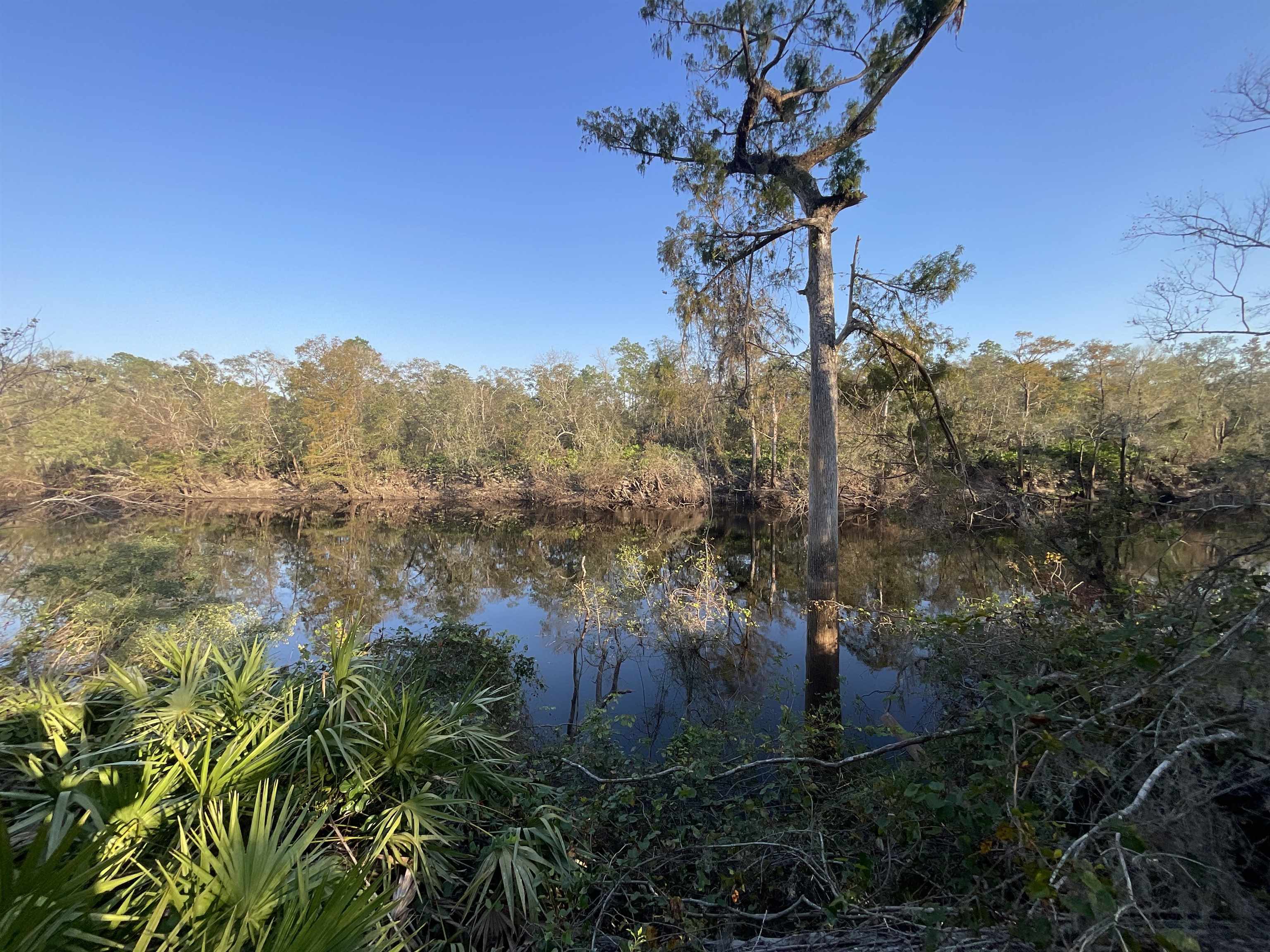 Vacant NE River Park Road, Lee, Florida image 39