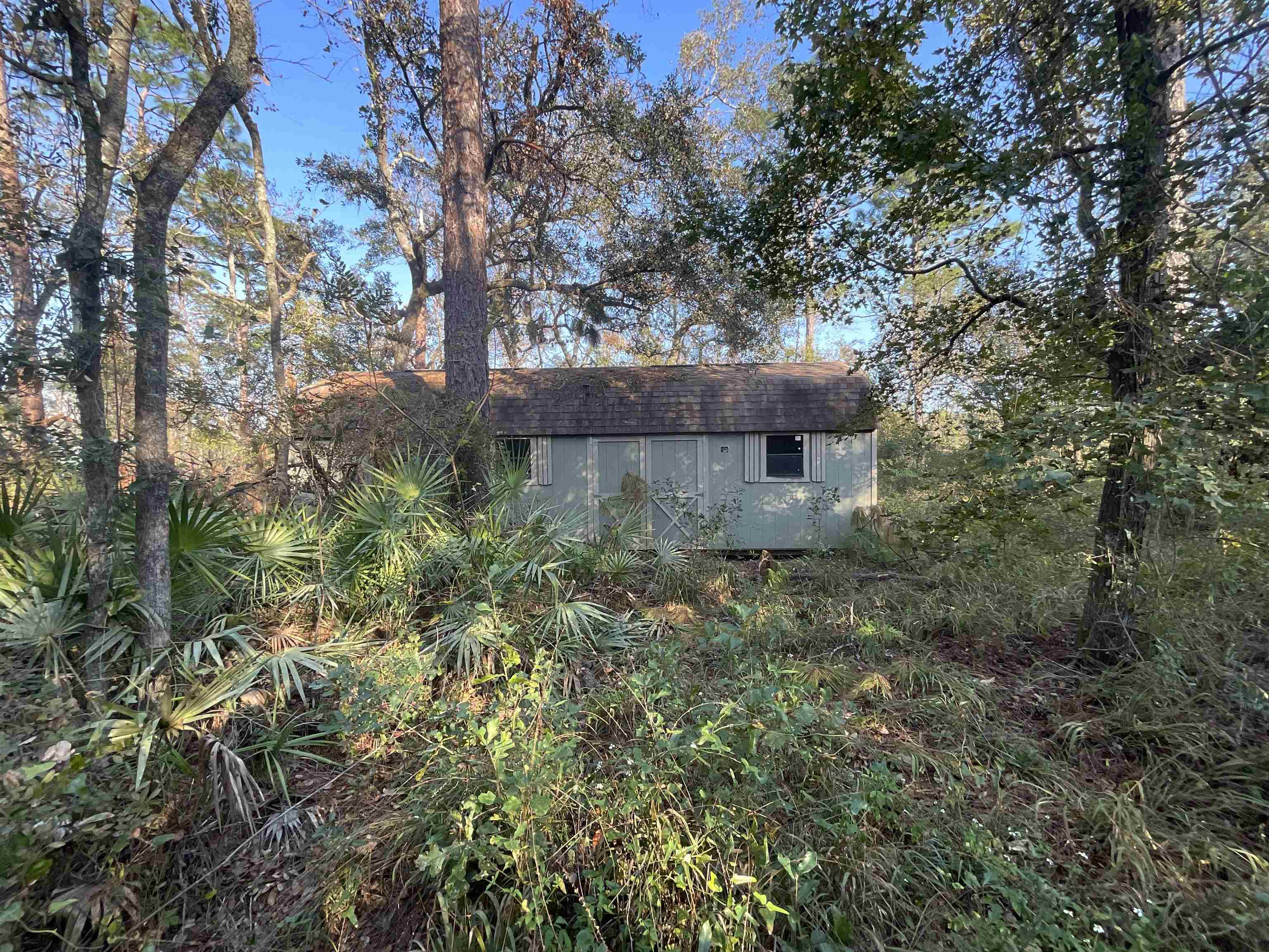 Vacant NE River Park Road, Lee, Florida image 8