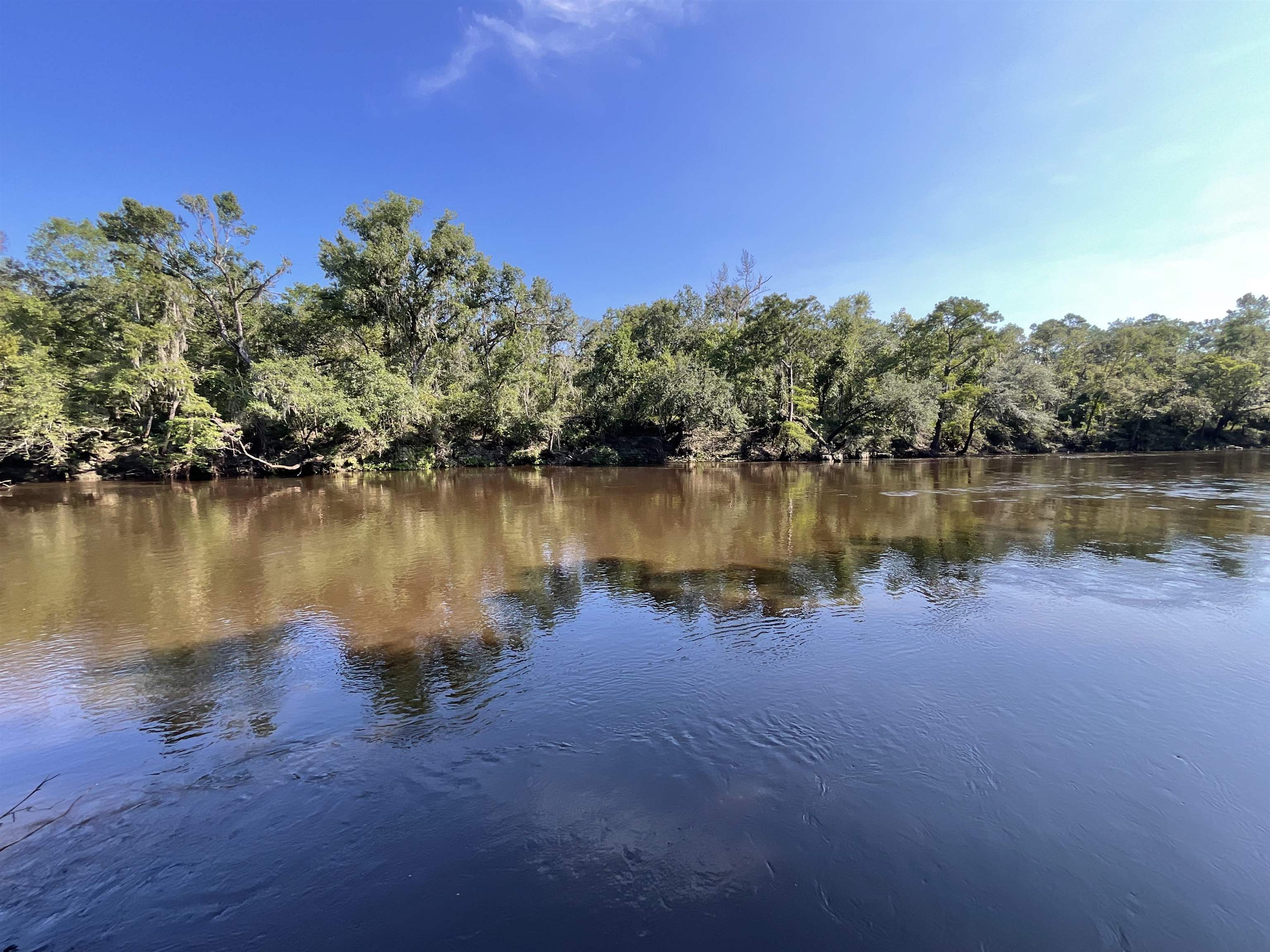 353 NE Madison Bluffs Way, Lee, Florida image 4