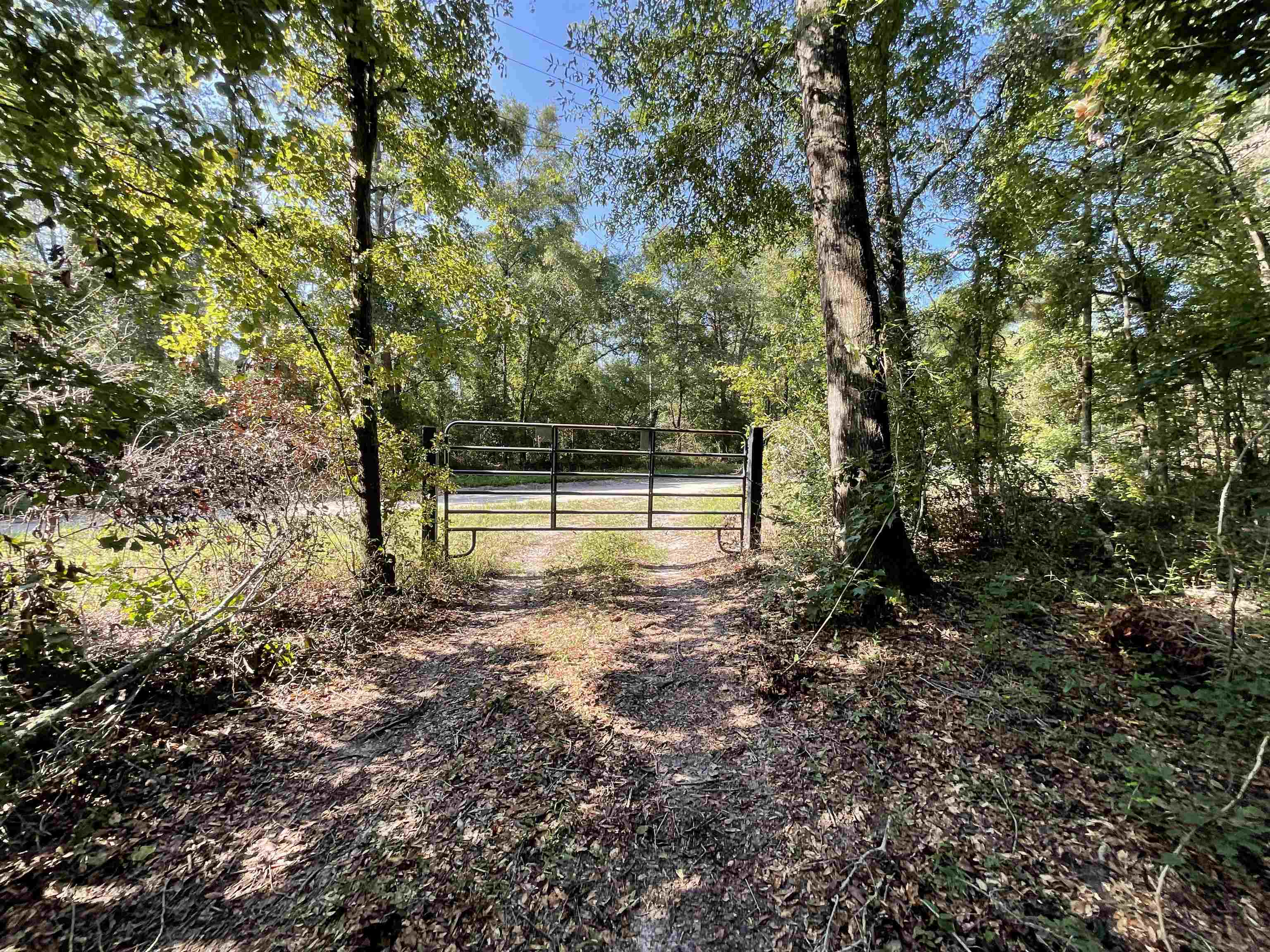 Vacant NE Madison Bluffs Way, Lee, Florida image 10