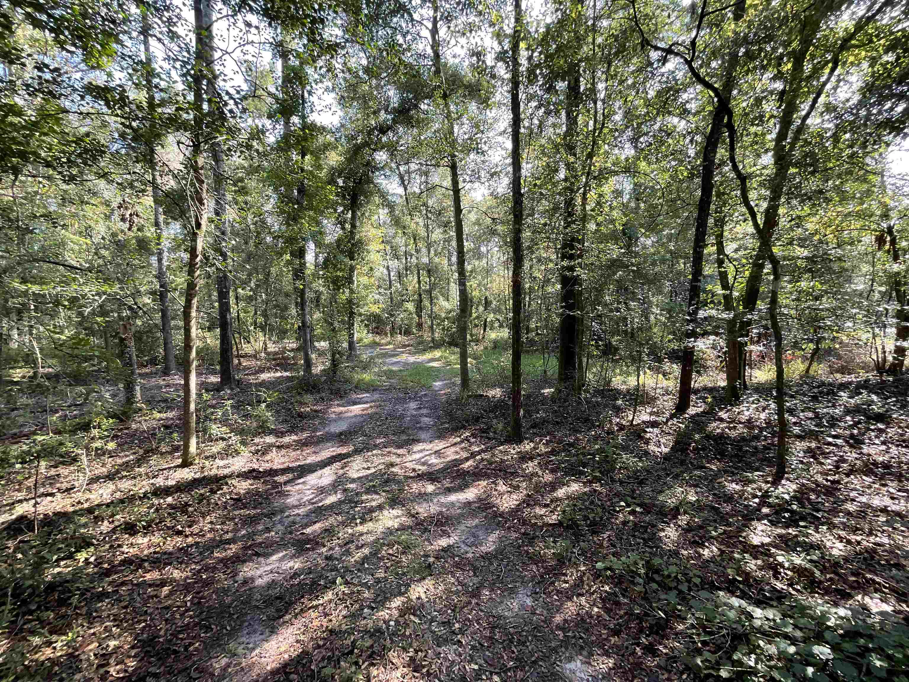 Vacant NE Madison Bluffs Way, Lee, Florida image 11