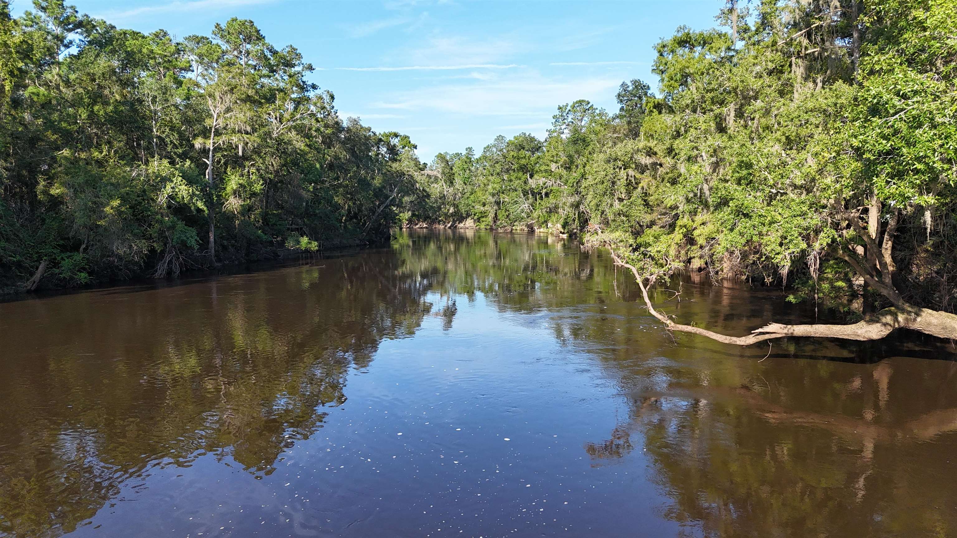 Vacant NE Madison Bluffs Way, Lee, Florida image 2