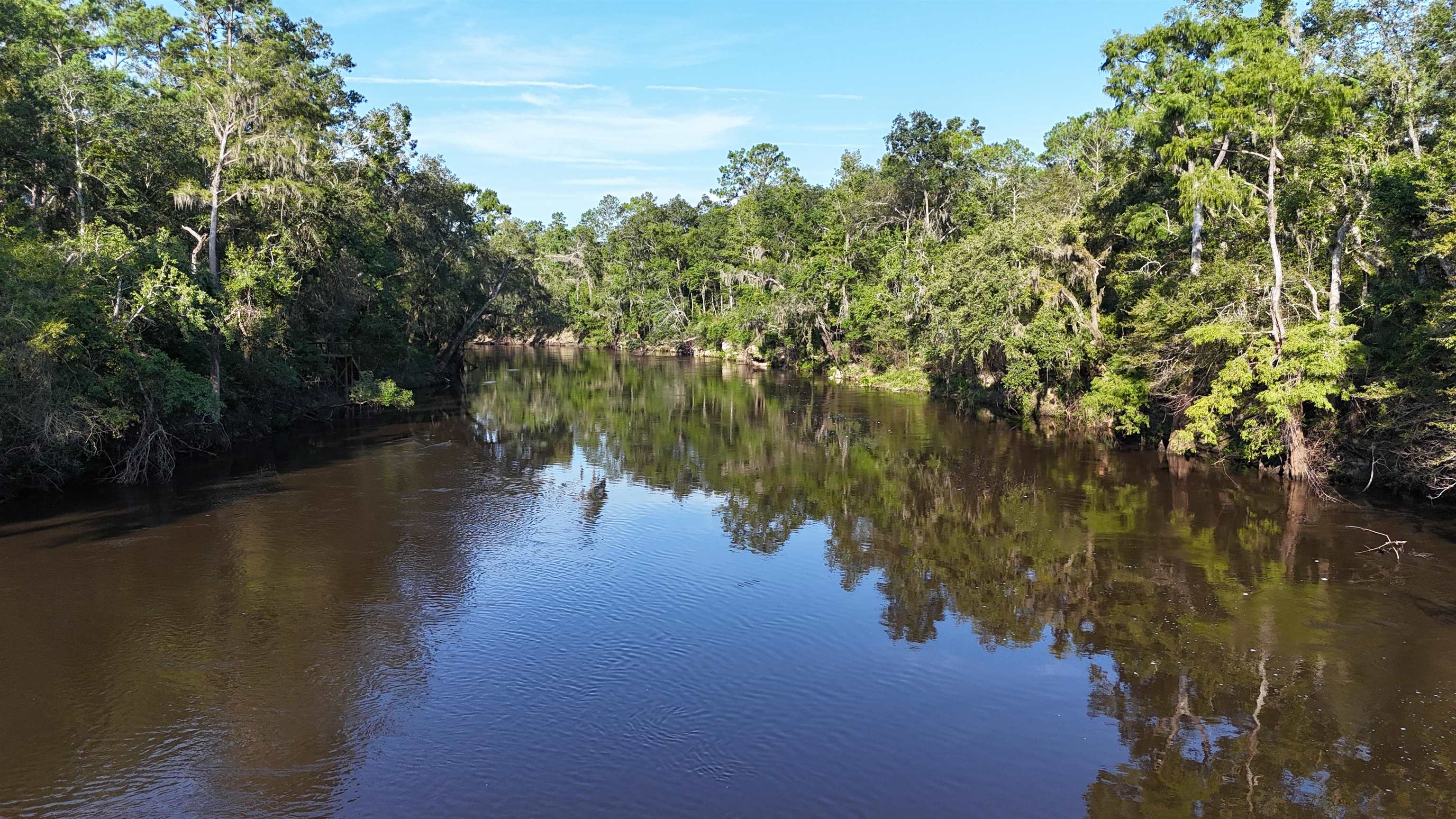 Vacant NE Madison Bluffs Way, Lee, Florida image 20