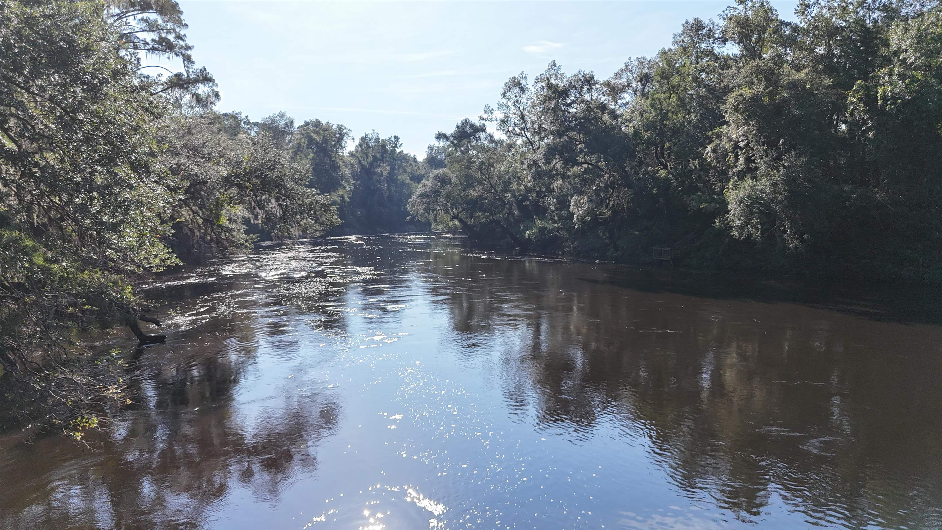 Vacant NE Madison Bluffs Way, Lee, Florida image 25