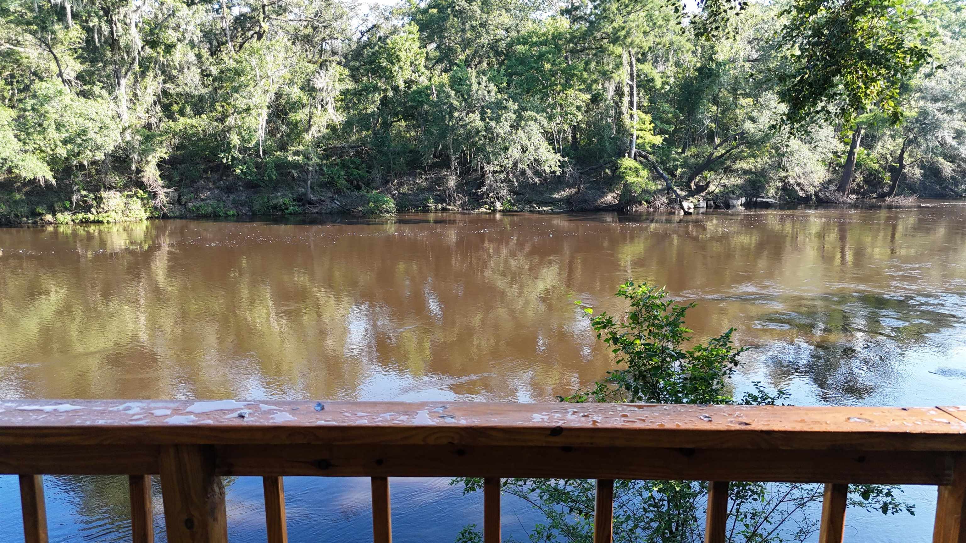 Vacant NE Madison Bluffs Way, Lee, Florida image 3